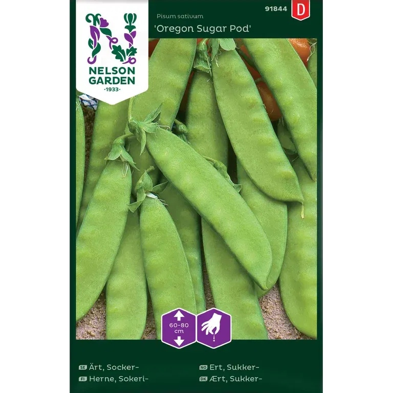 Sockerärt 'Oregon Sugar Pod'