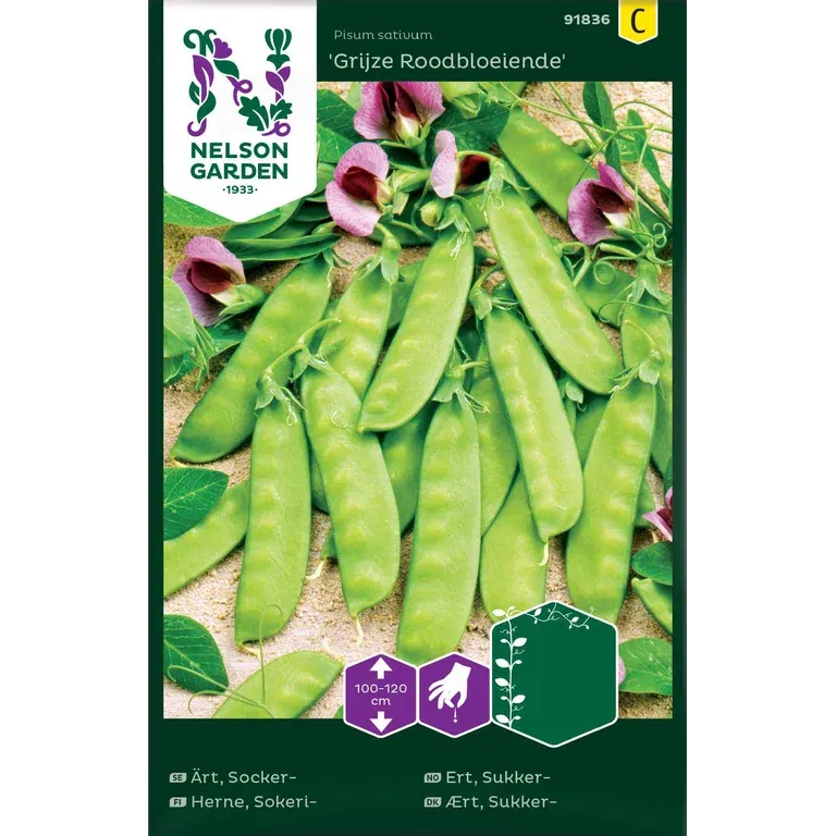 Sockerärt 'Grijze Roodbloeiende'