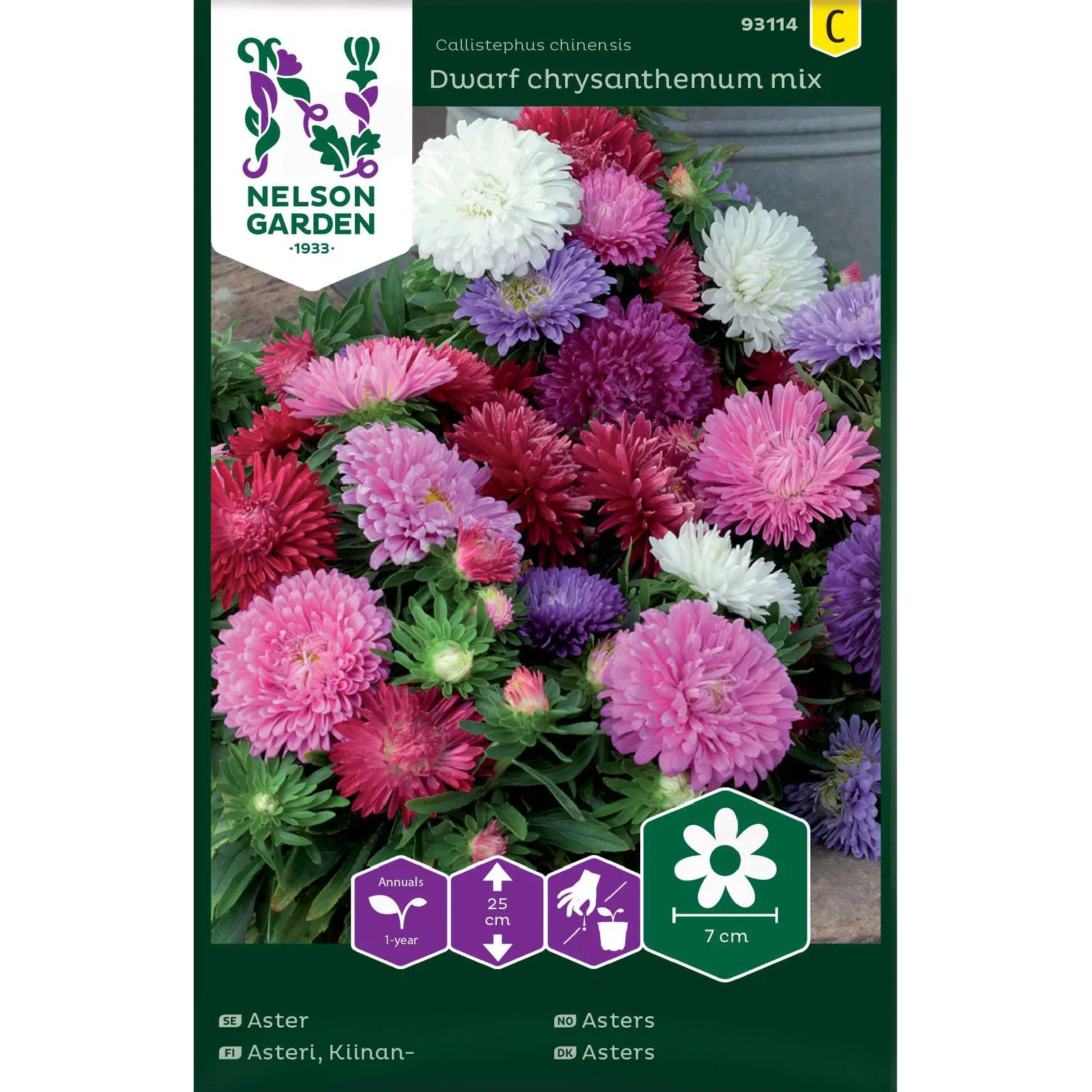 Sommaraster dvärg mix