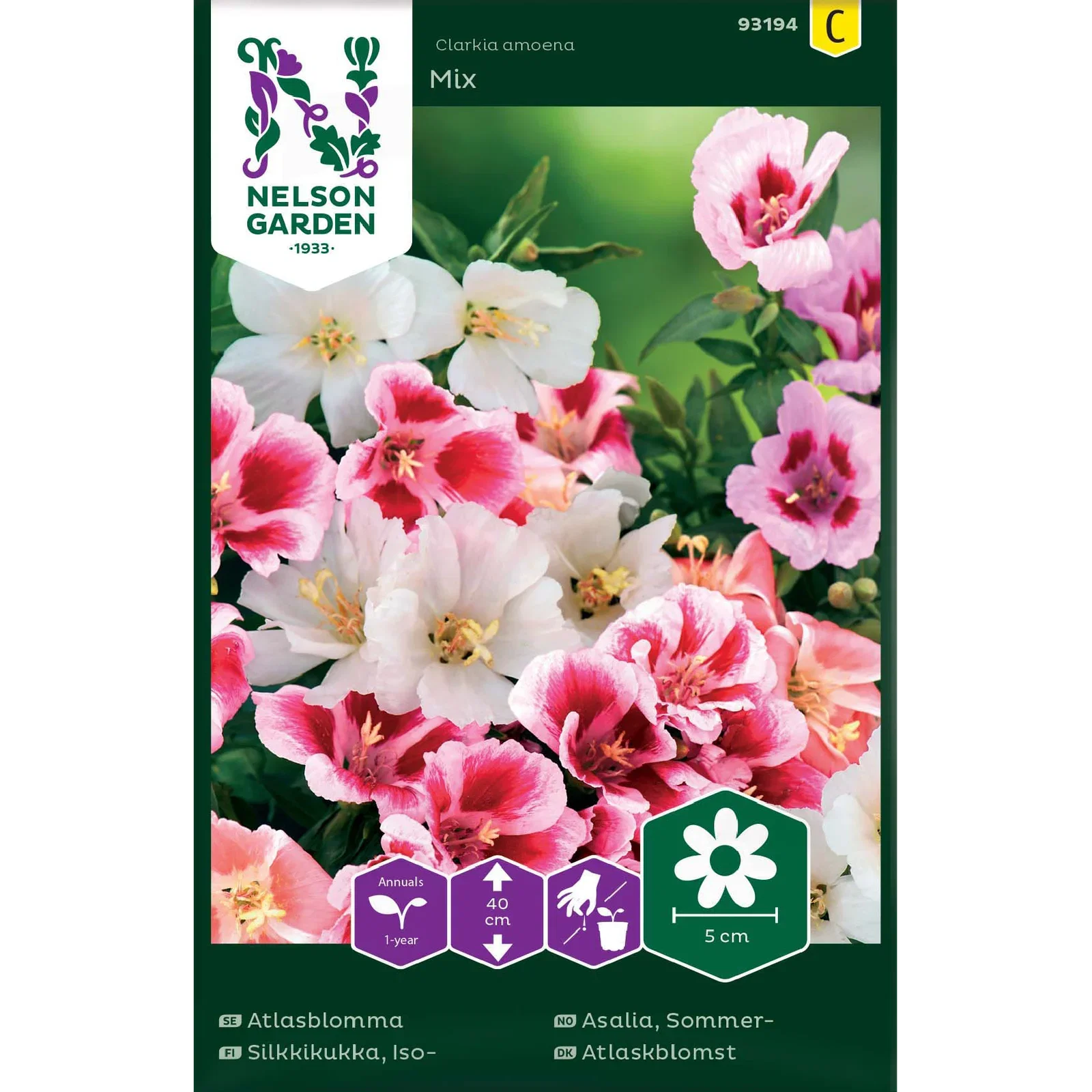 Atlasblomma, bl färger