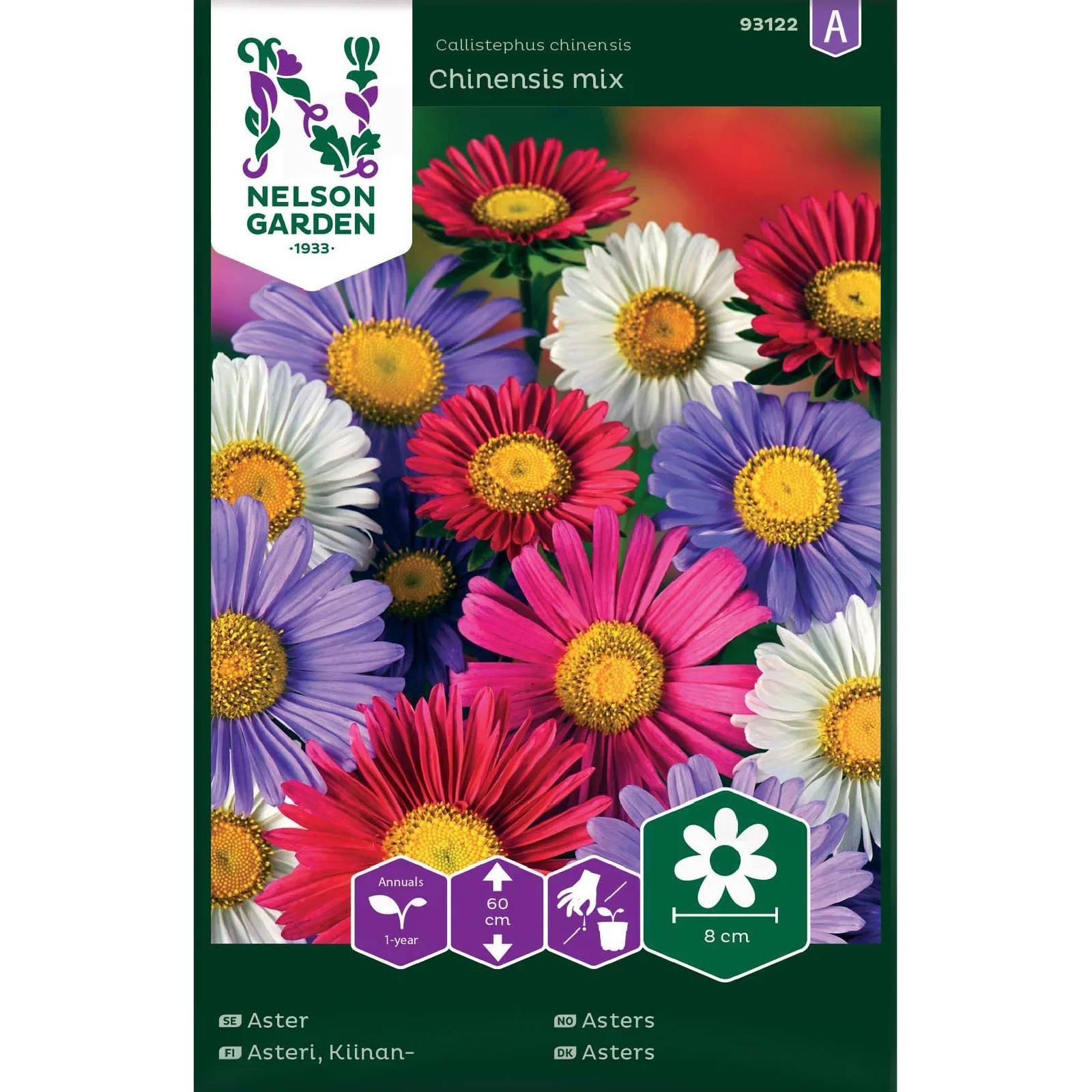 Sommaraster 'Chinensis Mix'