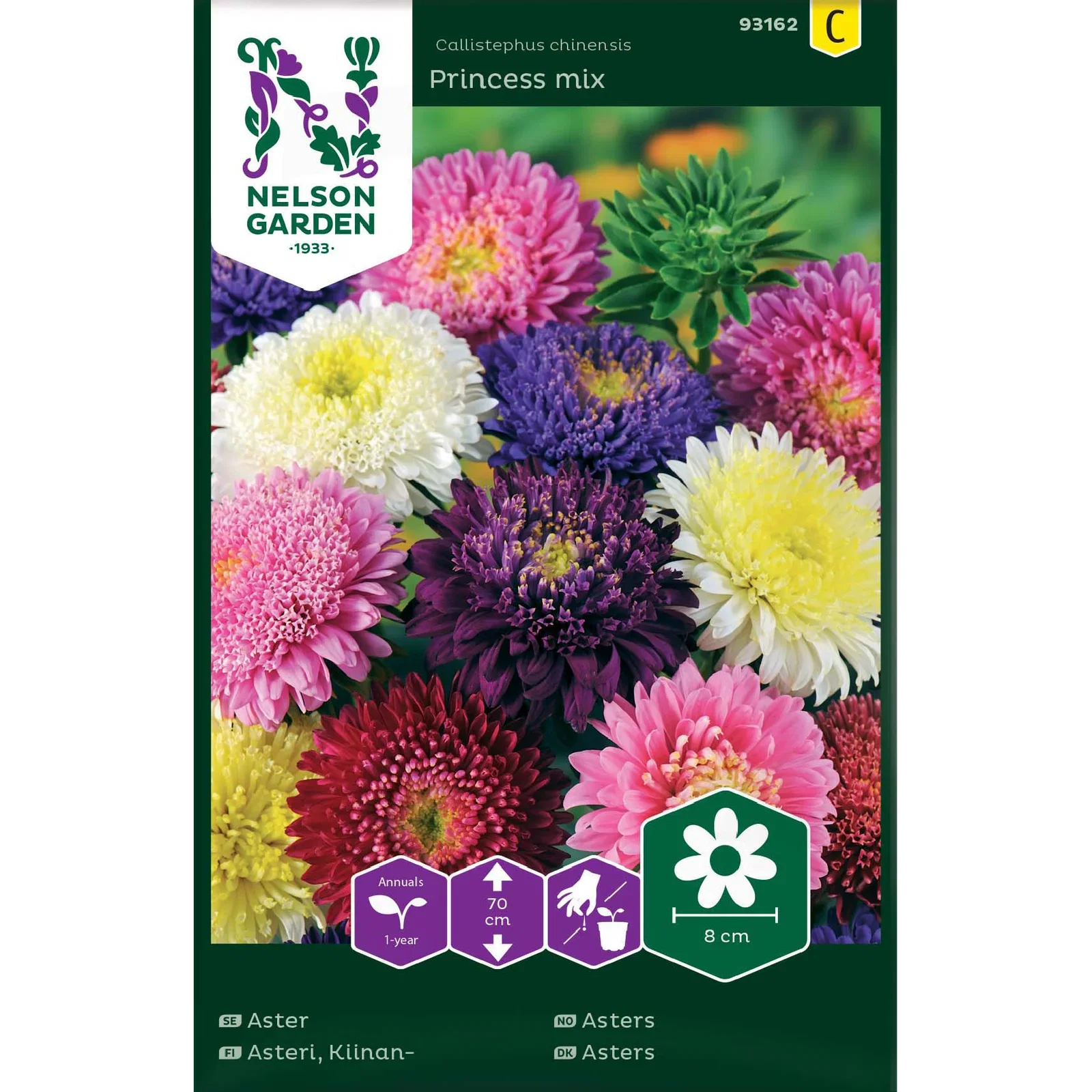 Sommaraster 'Princess Mix'