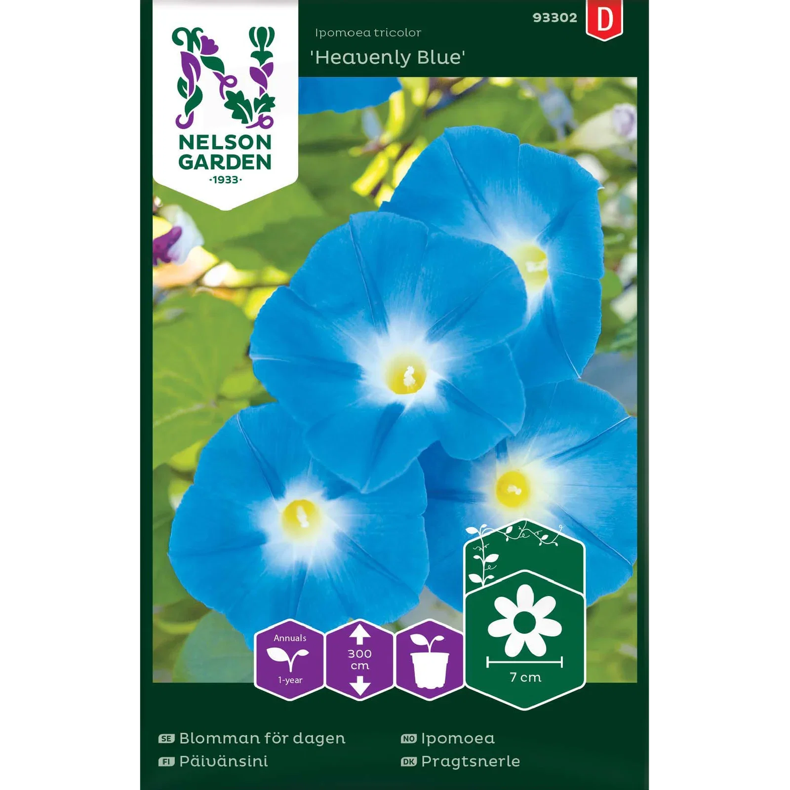 Blomman för dagen 'Heavenly Blue'