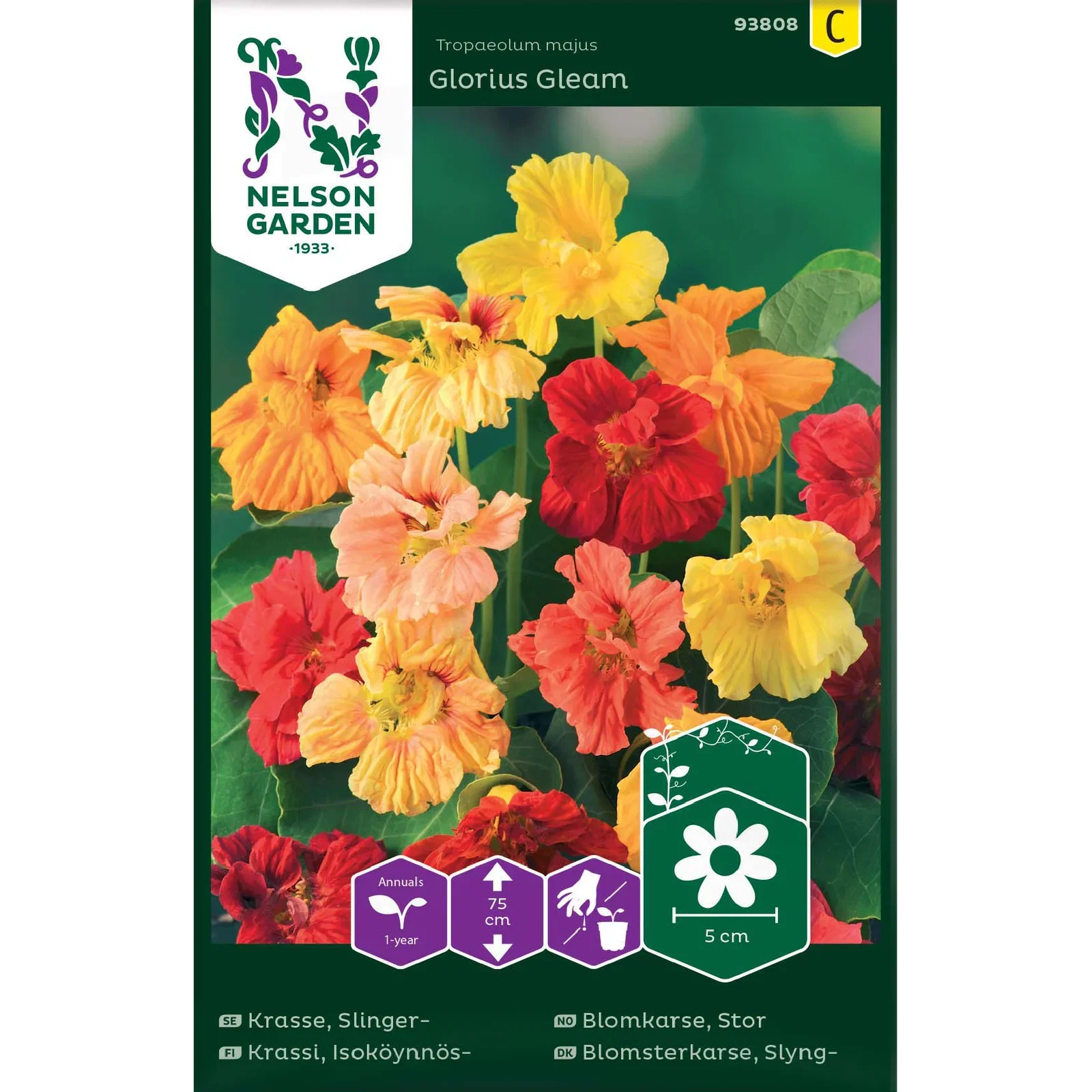 Slingerkrasse 'Glorius Gleam'