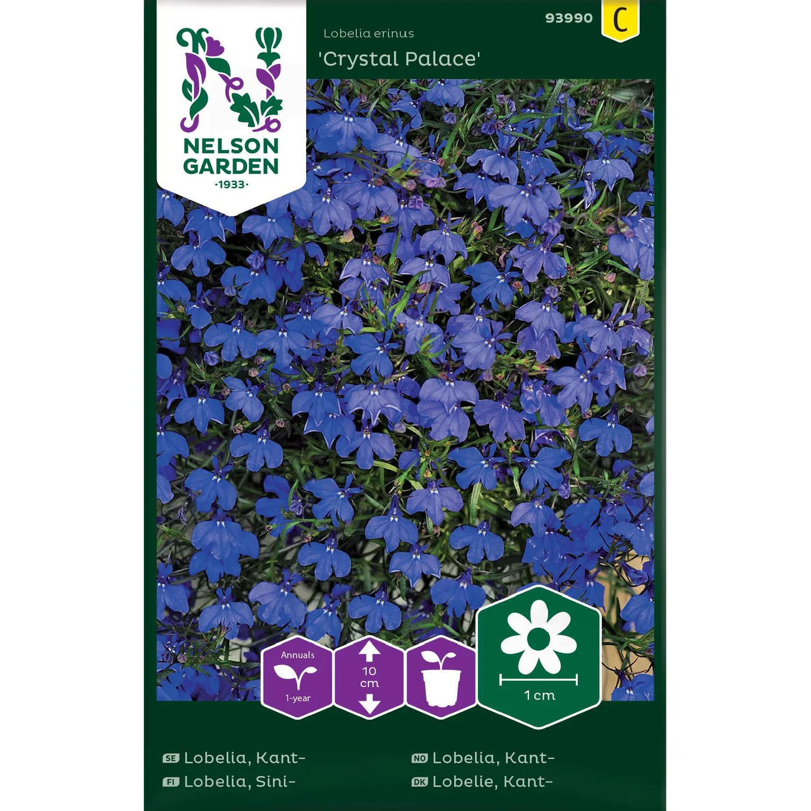 Kantlobelia 'Crystal Palace'