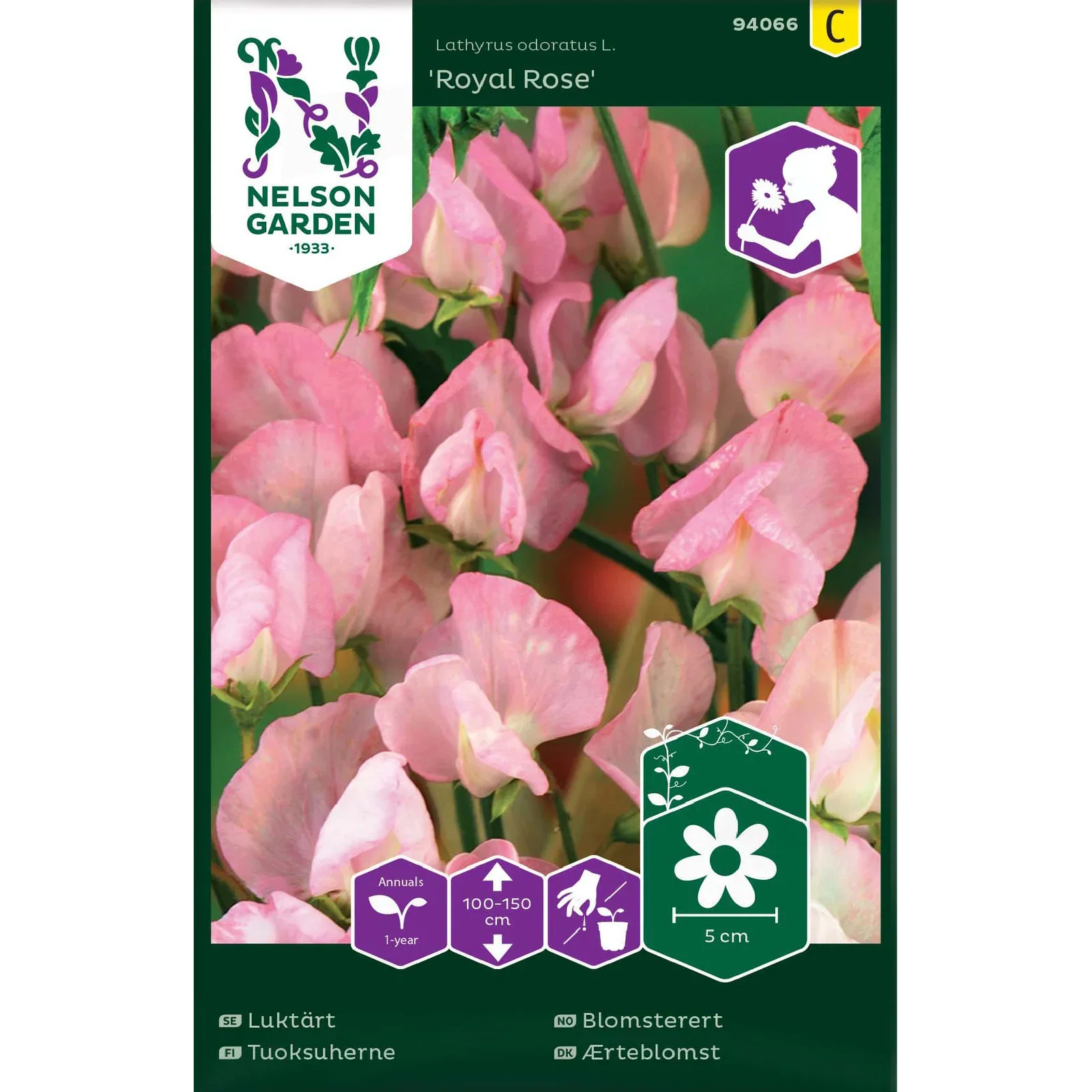 Luktärt 'Royal Rose'