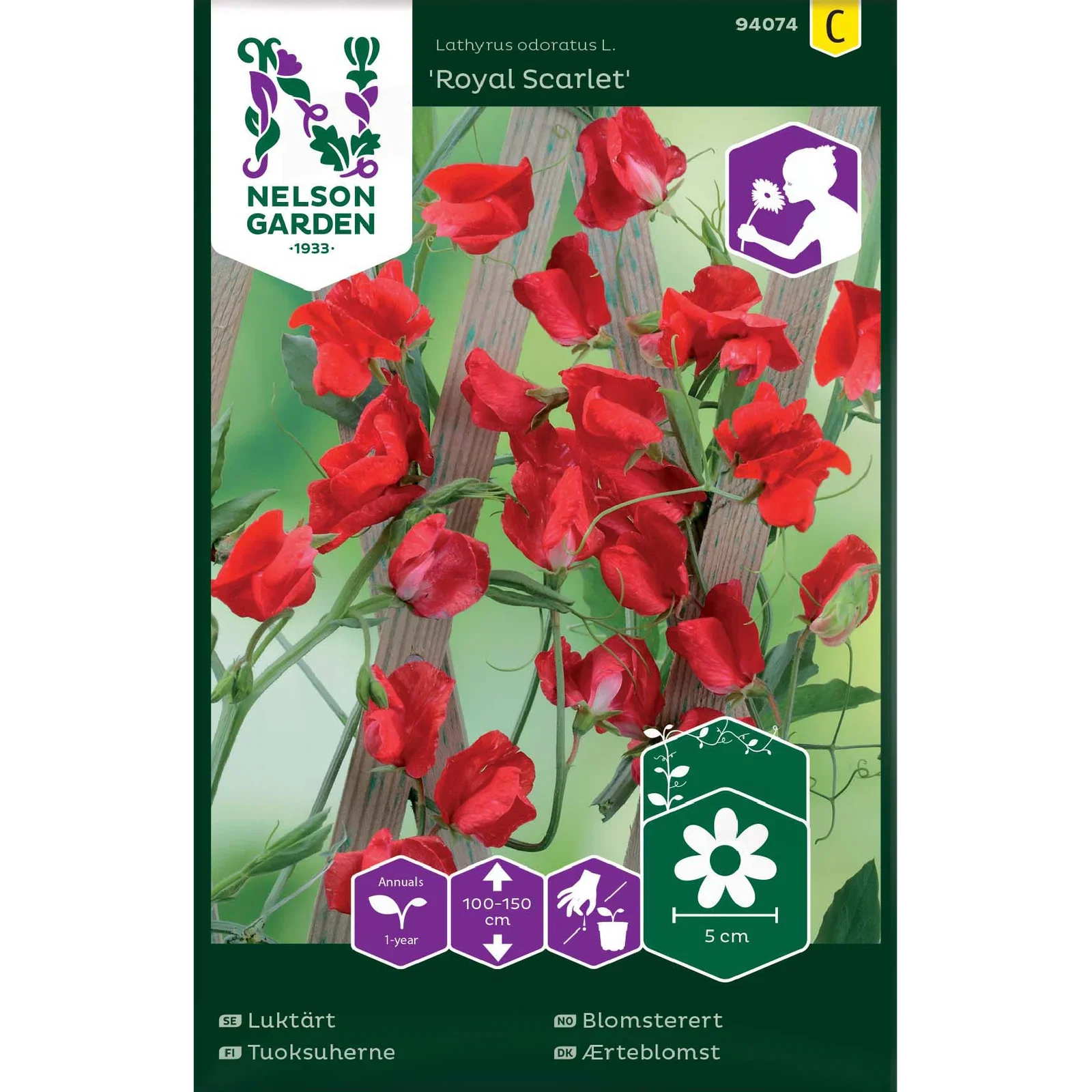 Luktärt, Royal Scarlet, röd