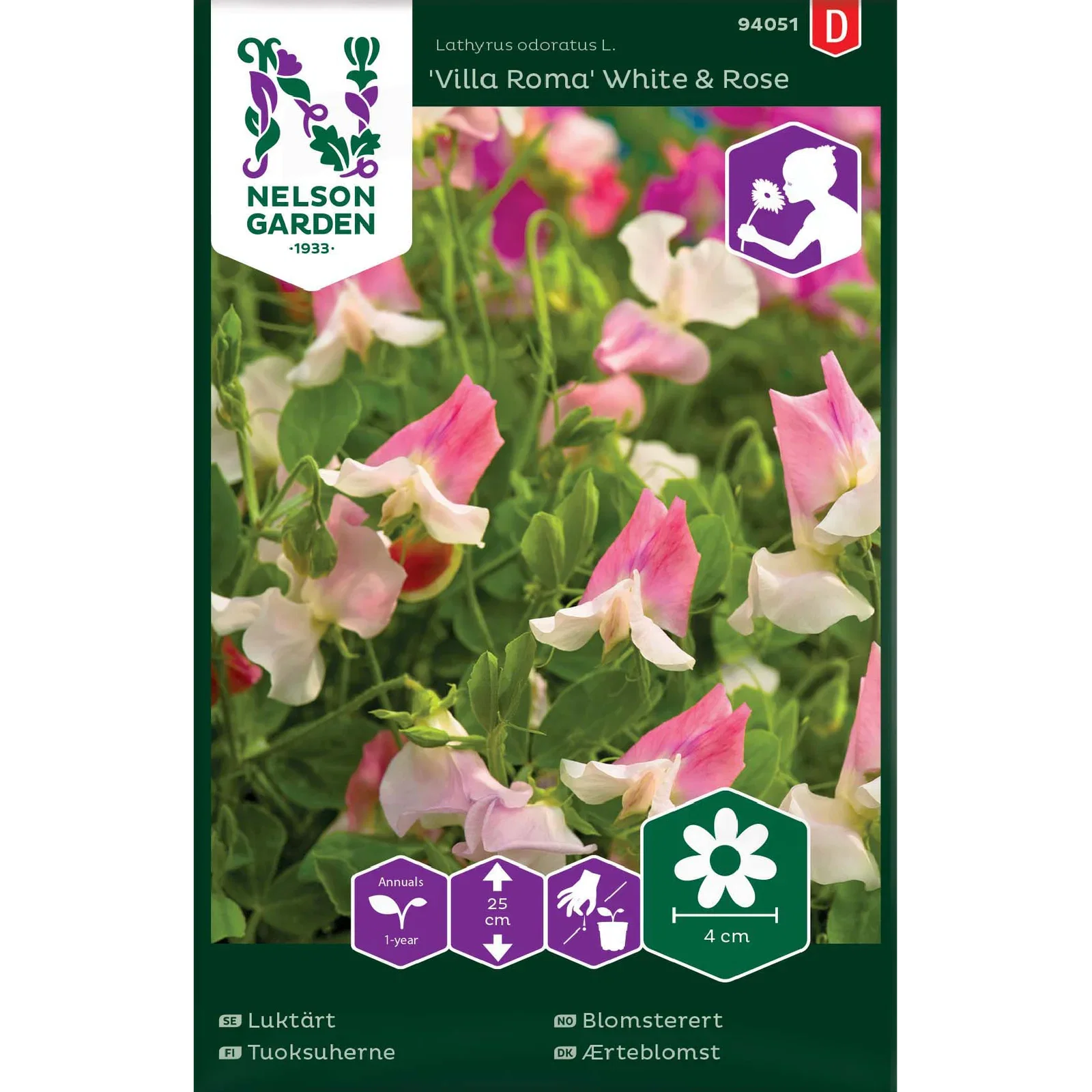 Luktärt 'Villa Roma' White & Rose
