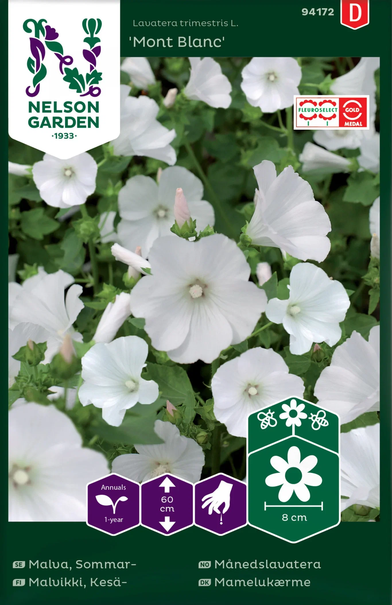 Sommarmalva 'Mont Blanc'