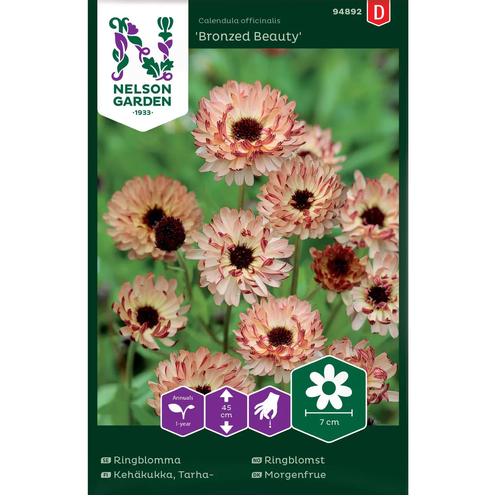 Ringblomma, Bronzed Beauty