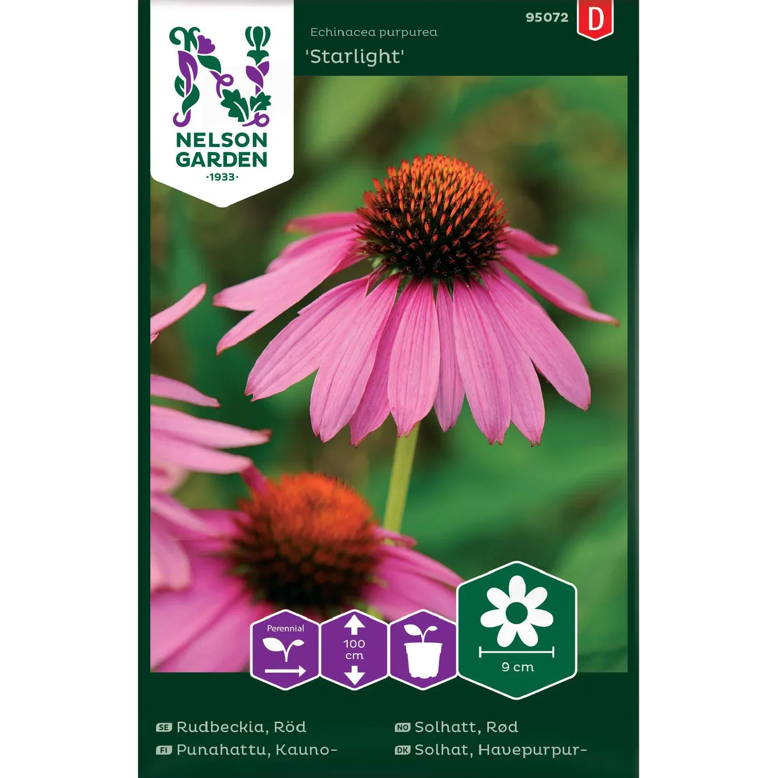 Röd Rudbeckia 'Starlight'