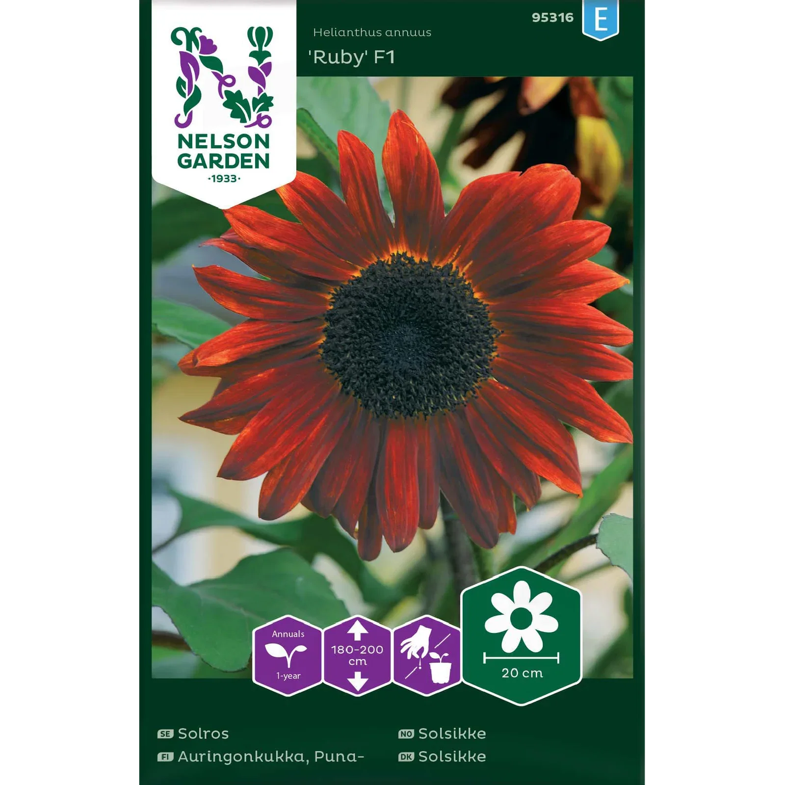 Solros, Ruby F1, hög