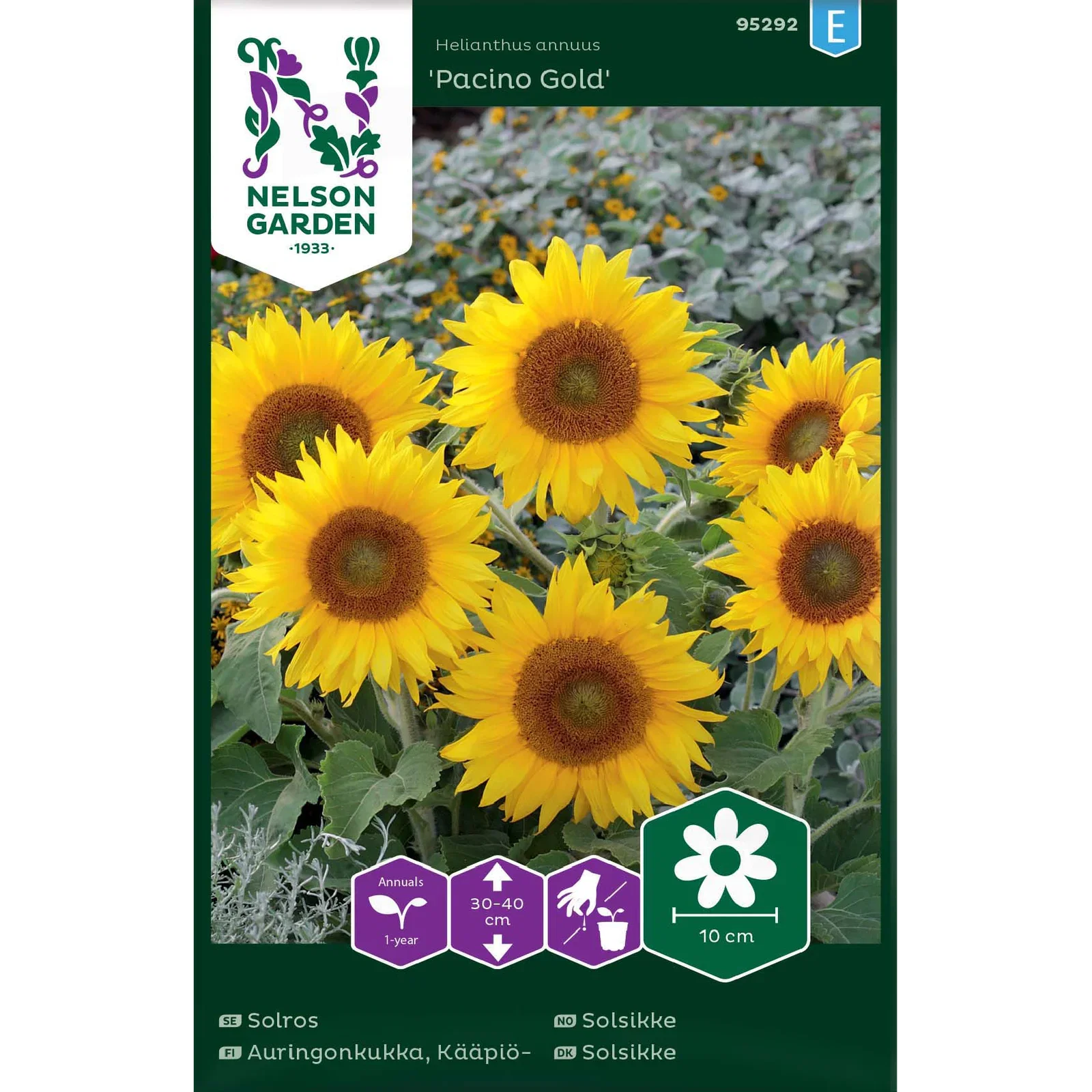 Solros, Pacino Gold, låg