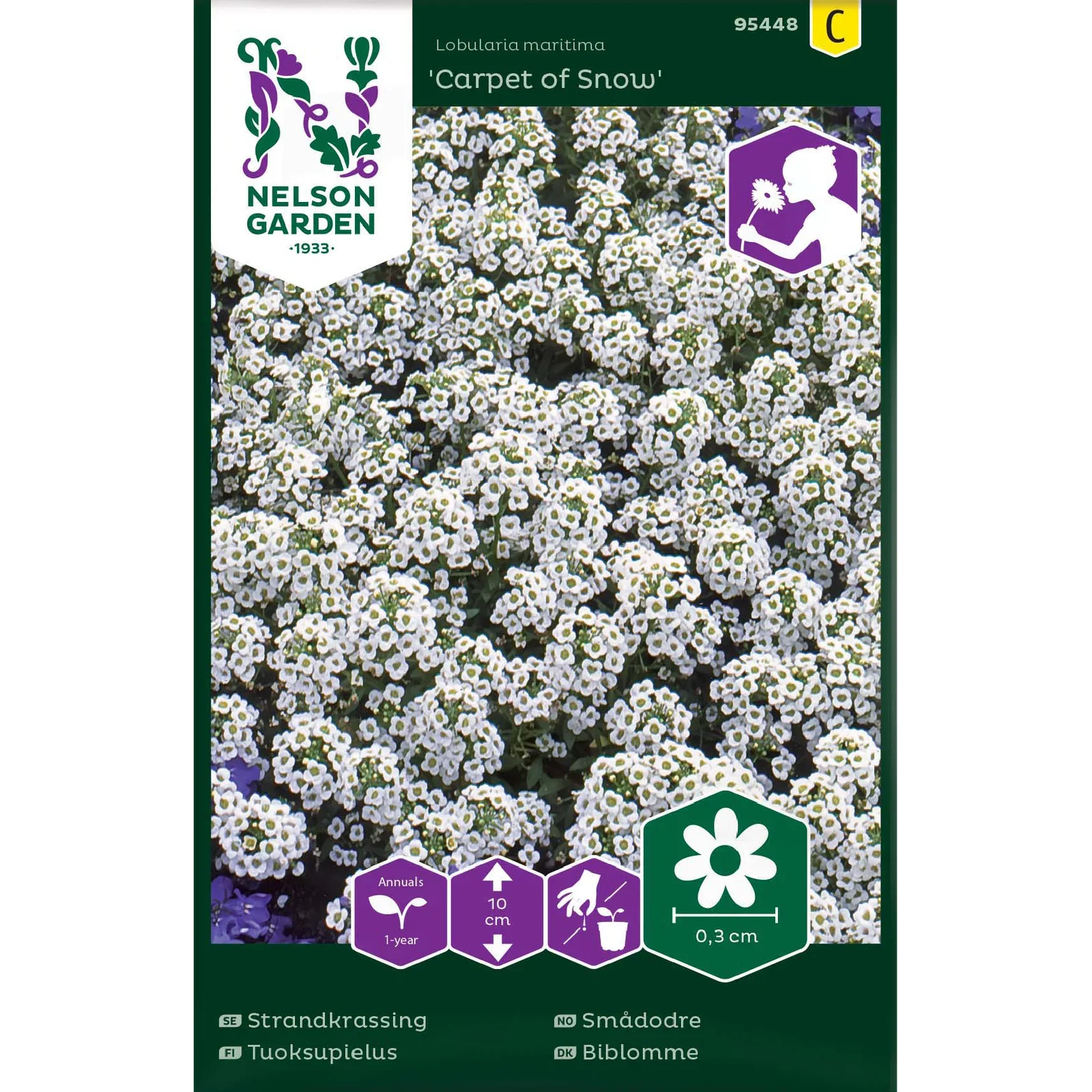 Strandkrassing 'Carpet of Snow'