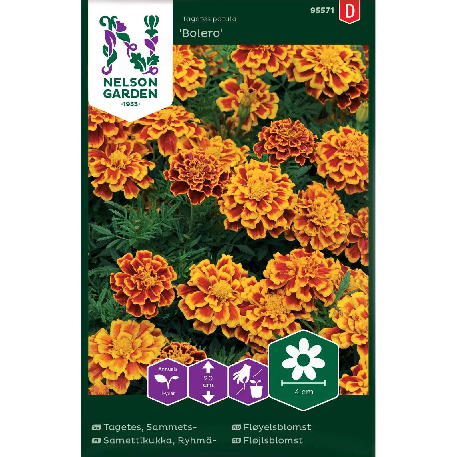 Sammetstagetes 'Bolero'