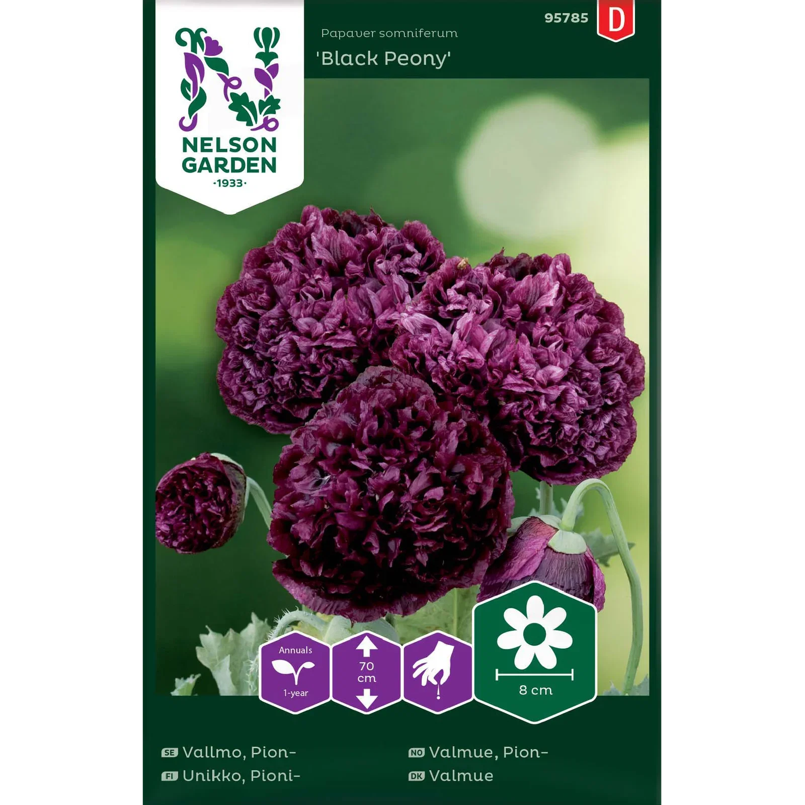 Pionvallmo 'Black Peony'