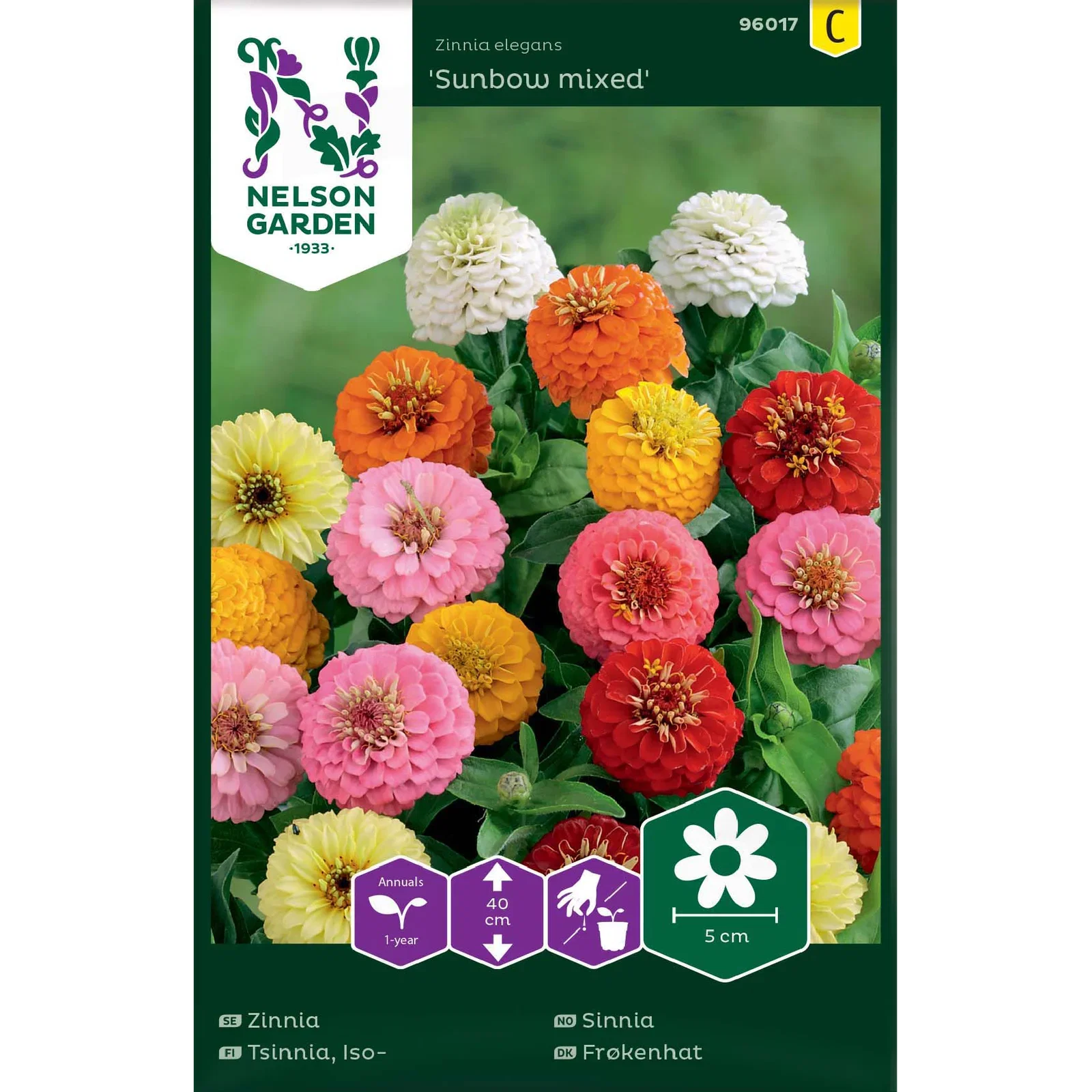 Zinnia, Sunbow, bl färger