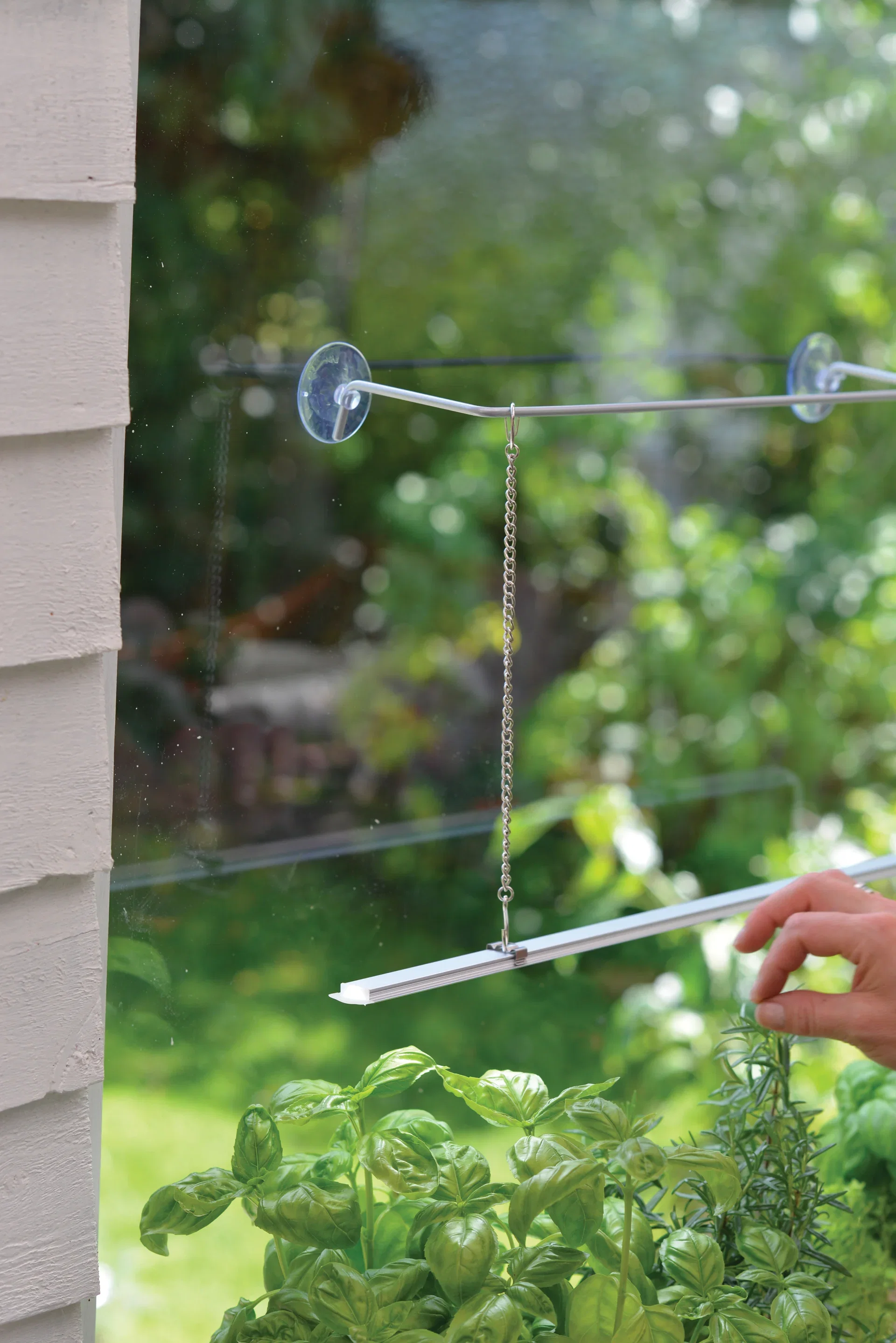 Hängare med sugproppar