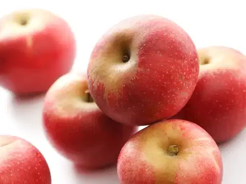 Äpple 'Discovery' A2