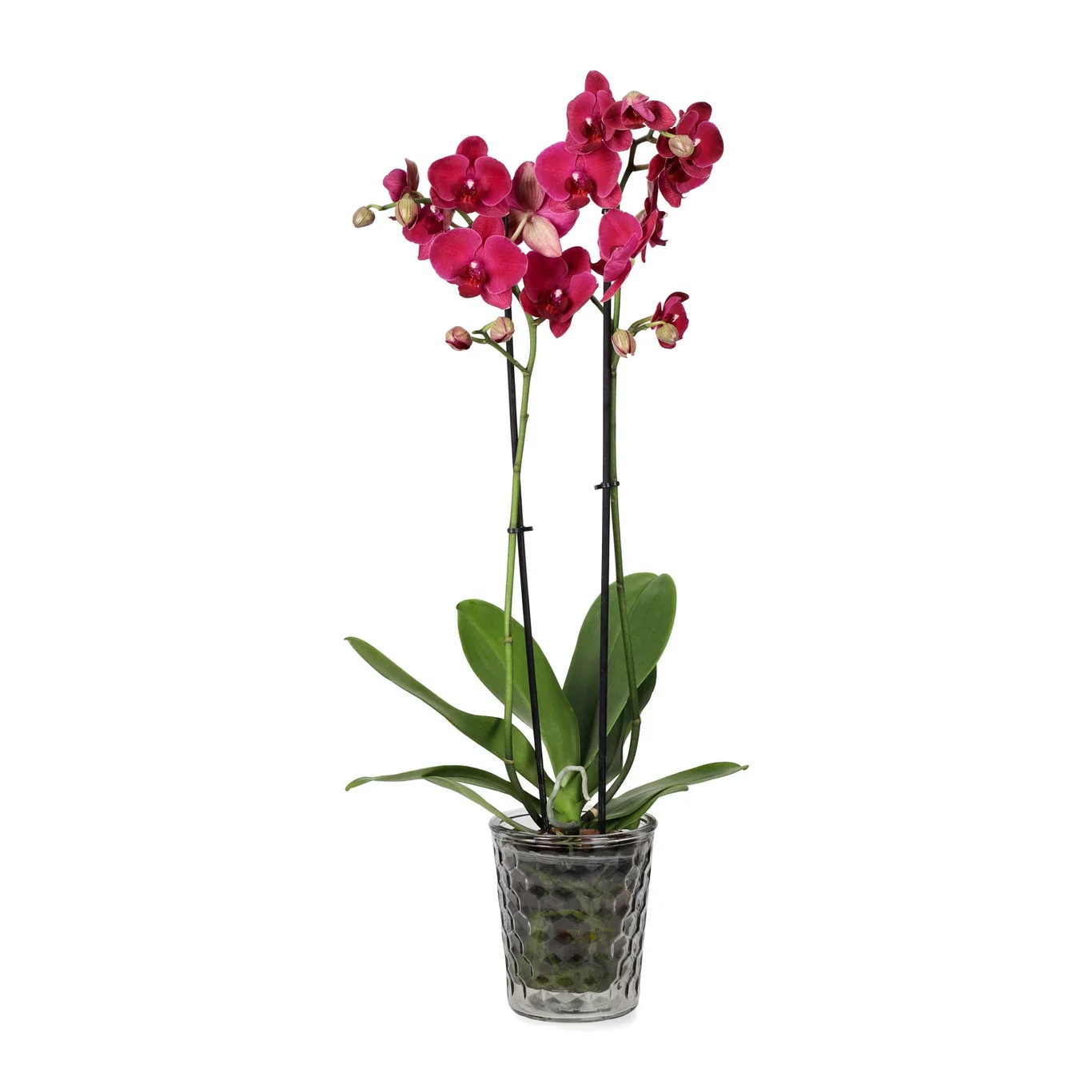 Nanna pot D13xH15cm, grey