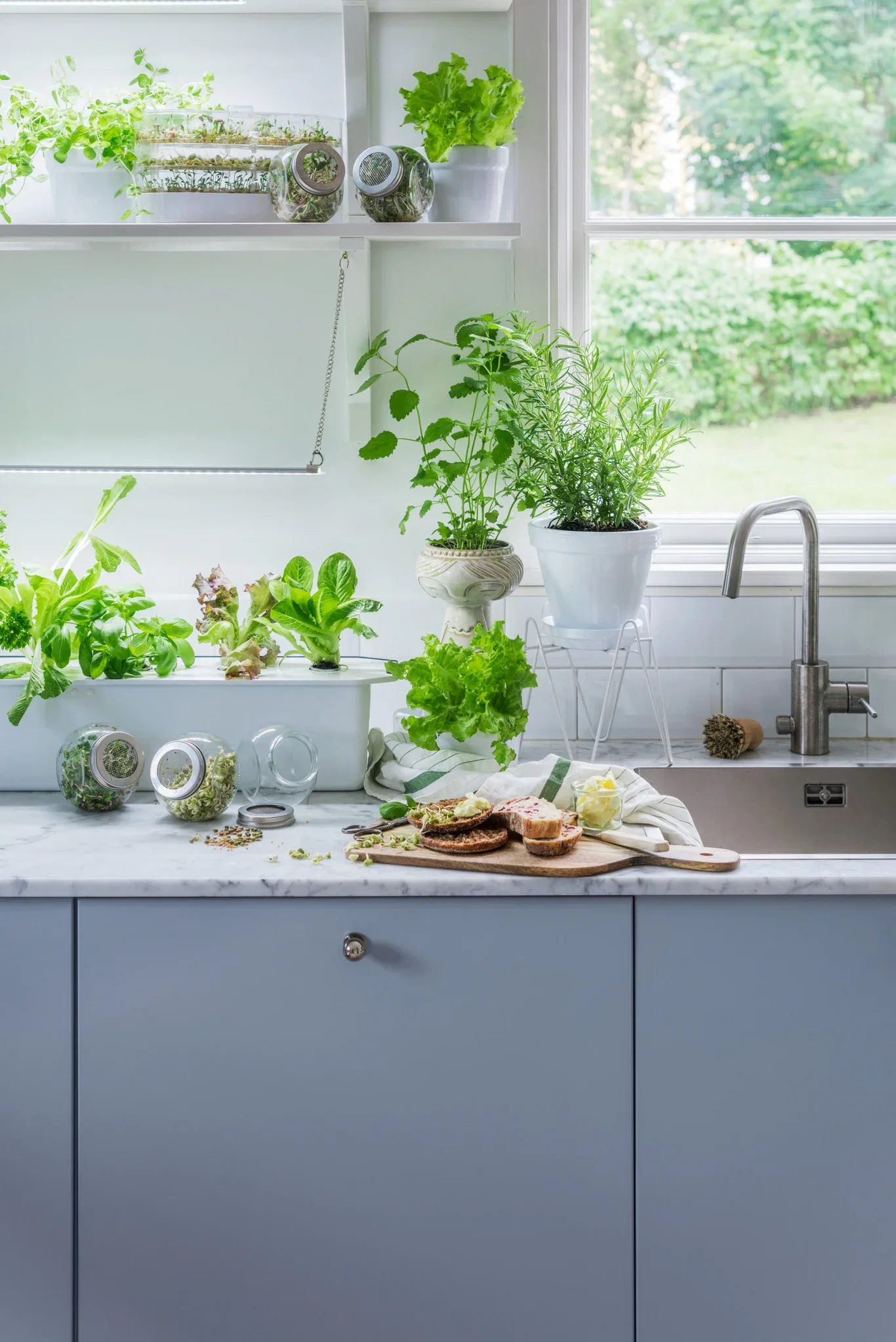 Hydroponic cultivation Harvy 3 white kit