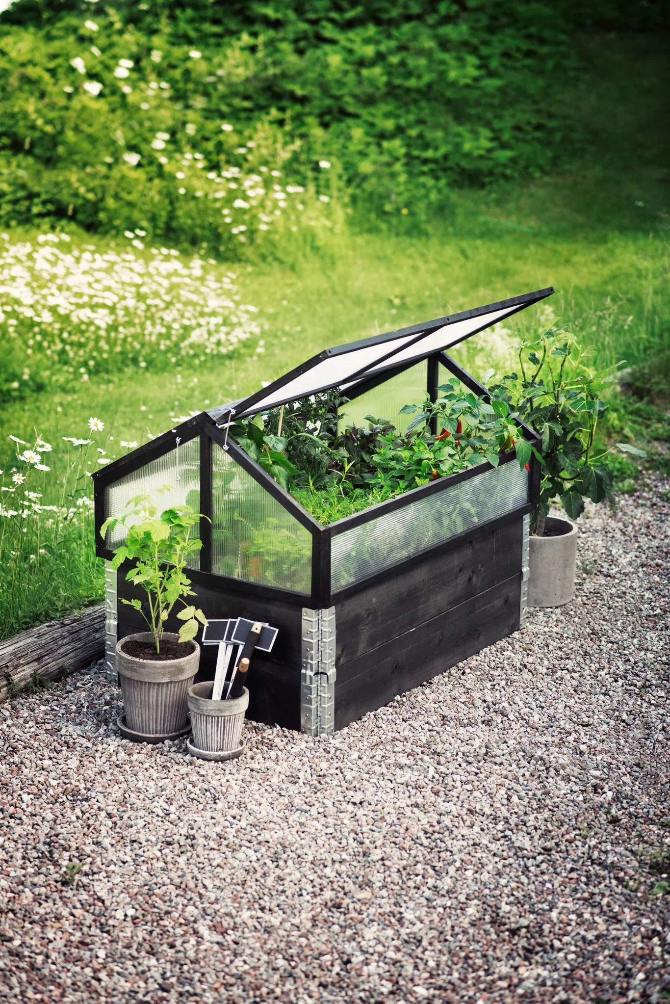 Stina Green House