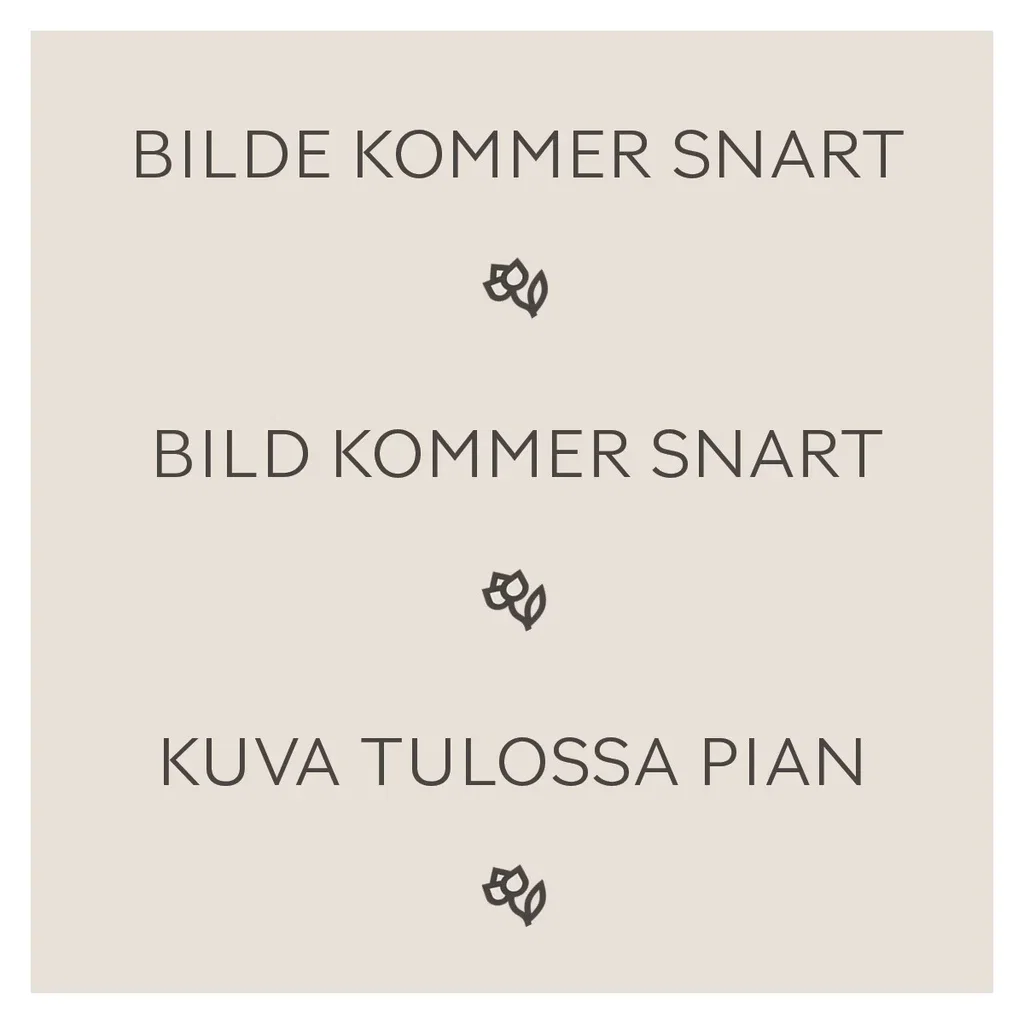 Surkörsbär SKUGGMORELL