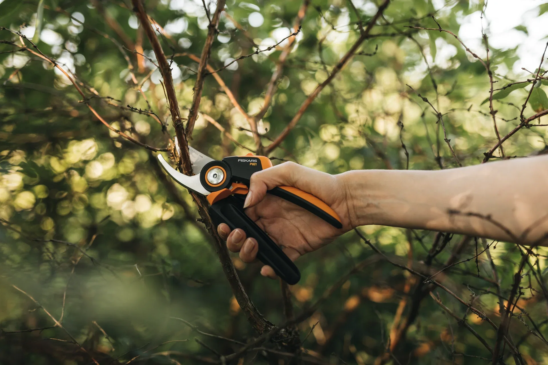 Pruner P921 SS M X-Serie