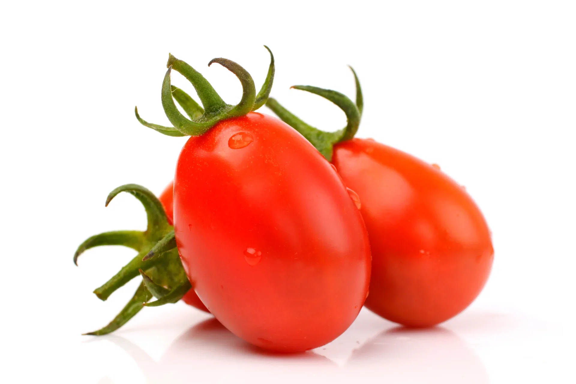 All N. Lycopersicum 'Dadel Dasher' 10,5 cm