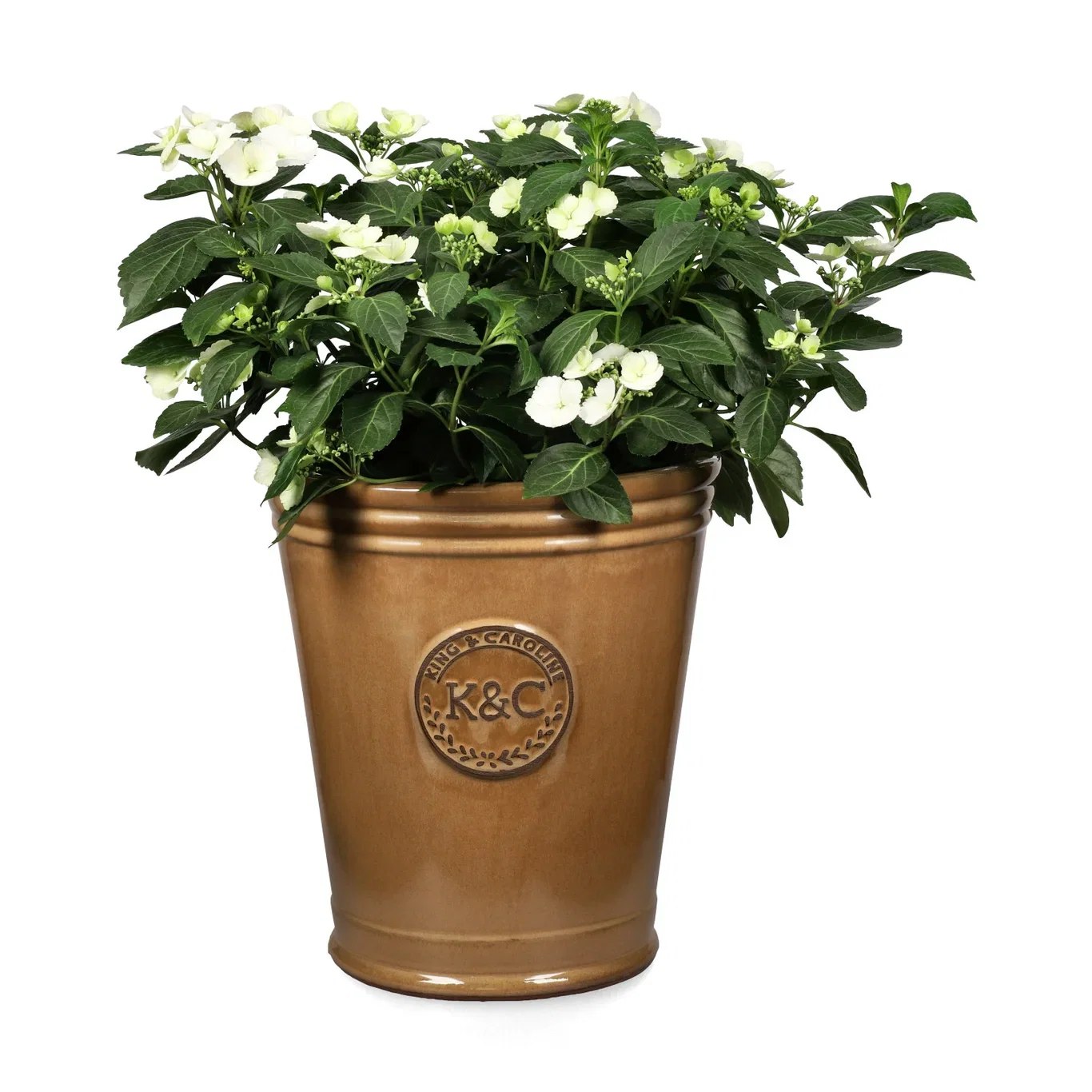 Hortensia RUNAWAY BRIDE SNOW WHITE