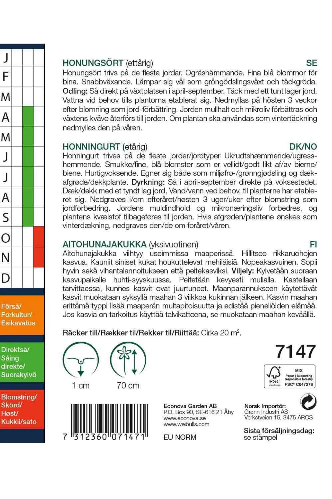 Phacelia tanacetifolia