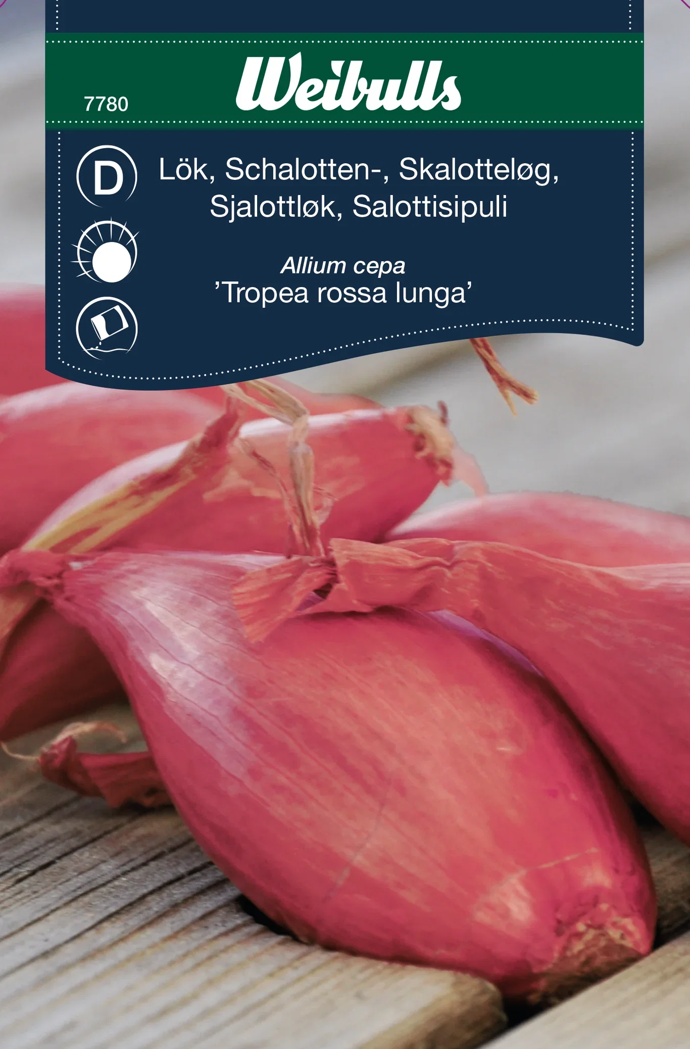 Schalottenlök 'Tropea Rossa Lunga'