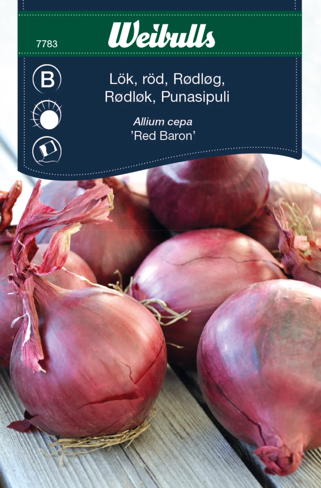 Rödlök 'Red Baron'