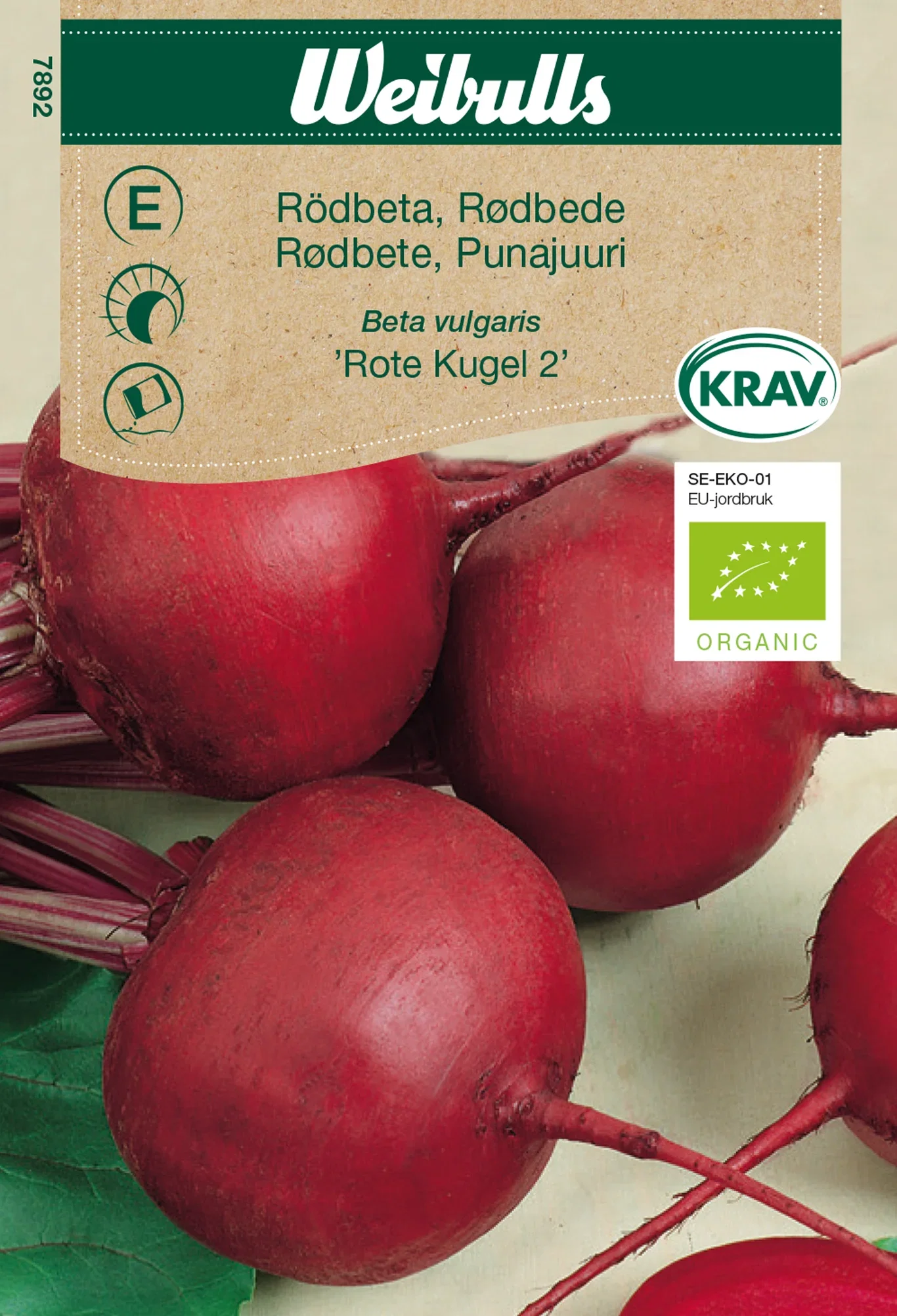 Rödbeta 'Rote Kugel 2' KRAV