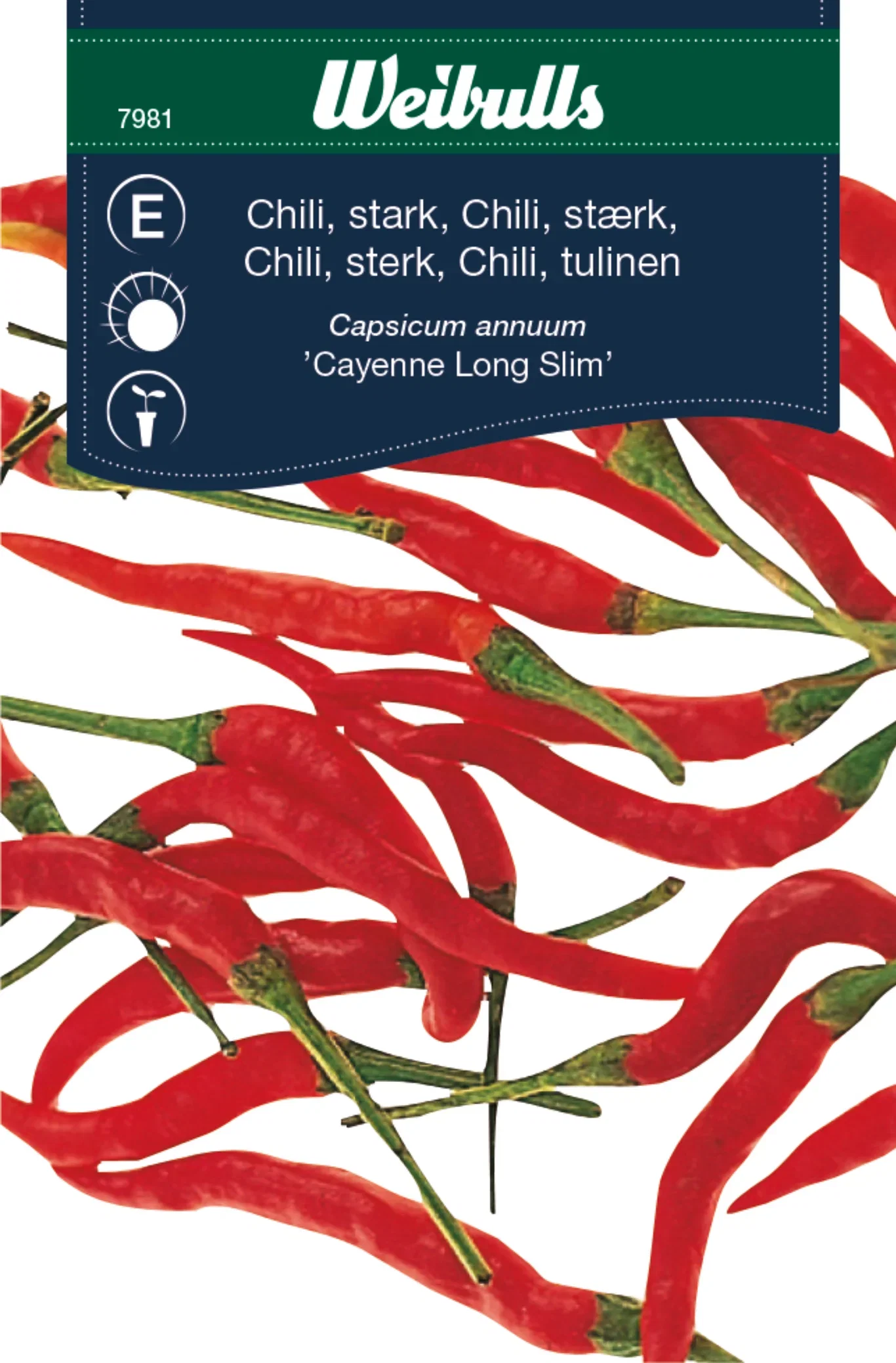 Chili 'Cayenne Long Slim'