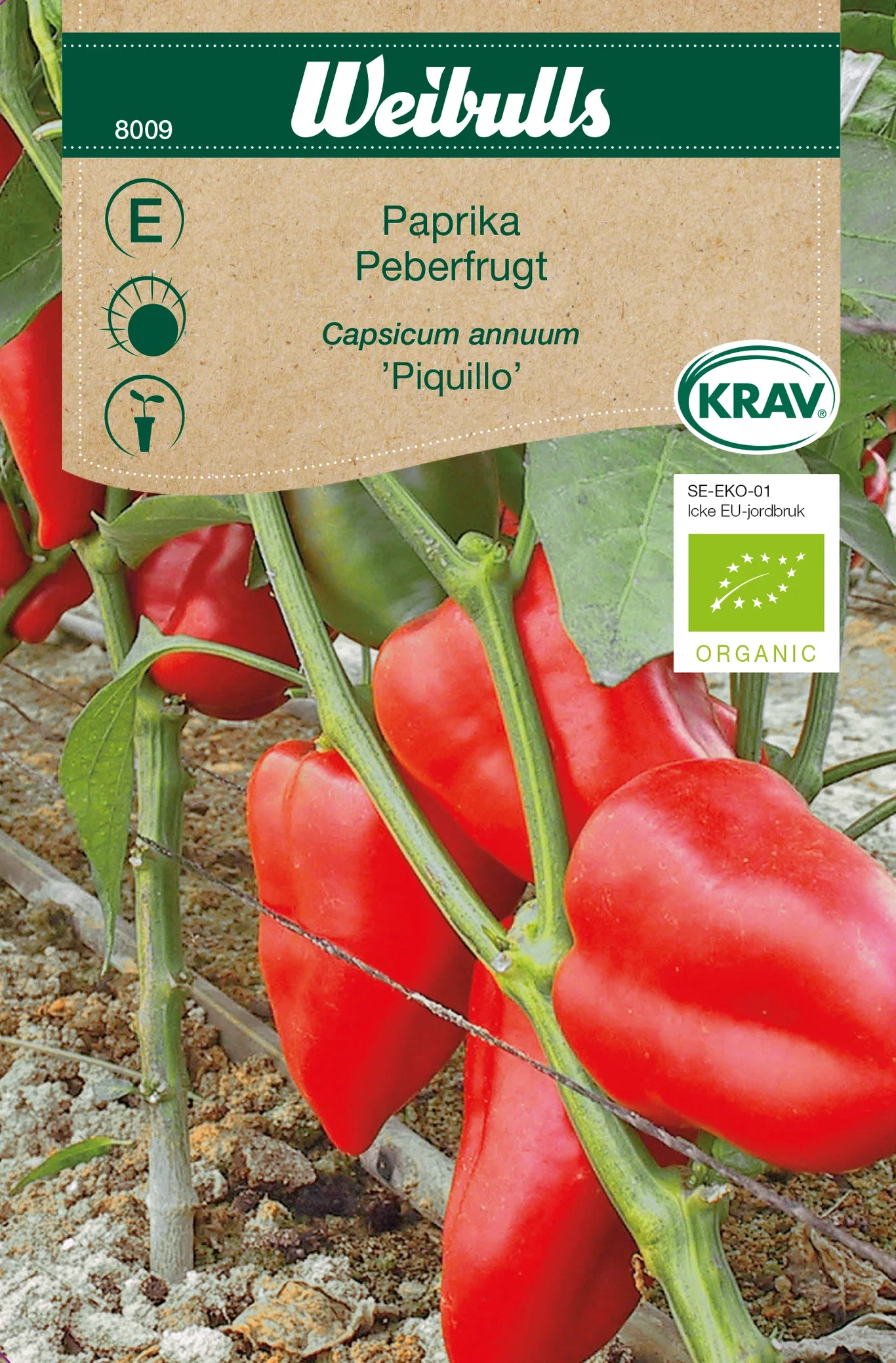 Paprika 'Piquillo' KRAV