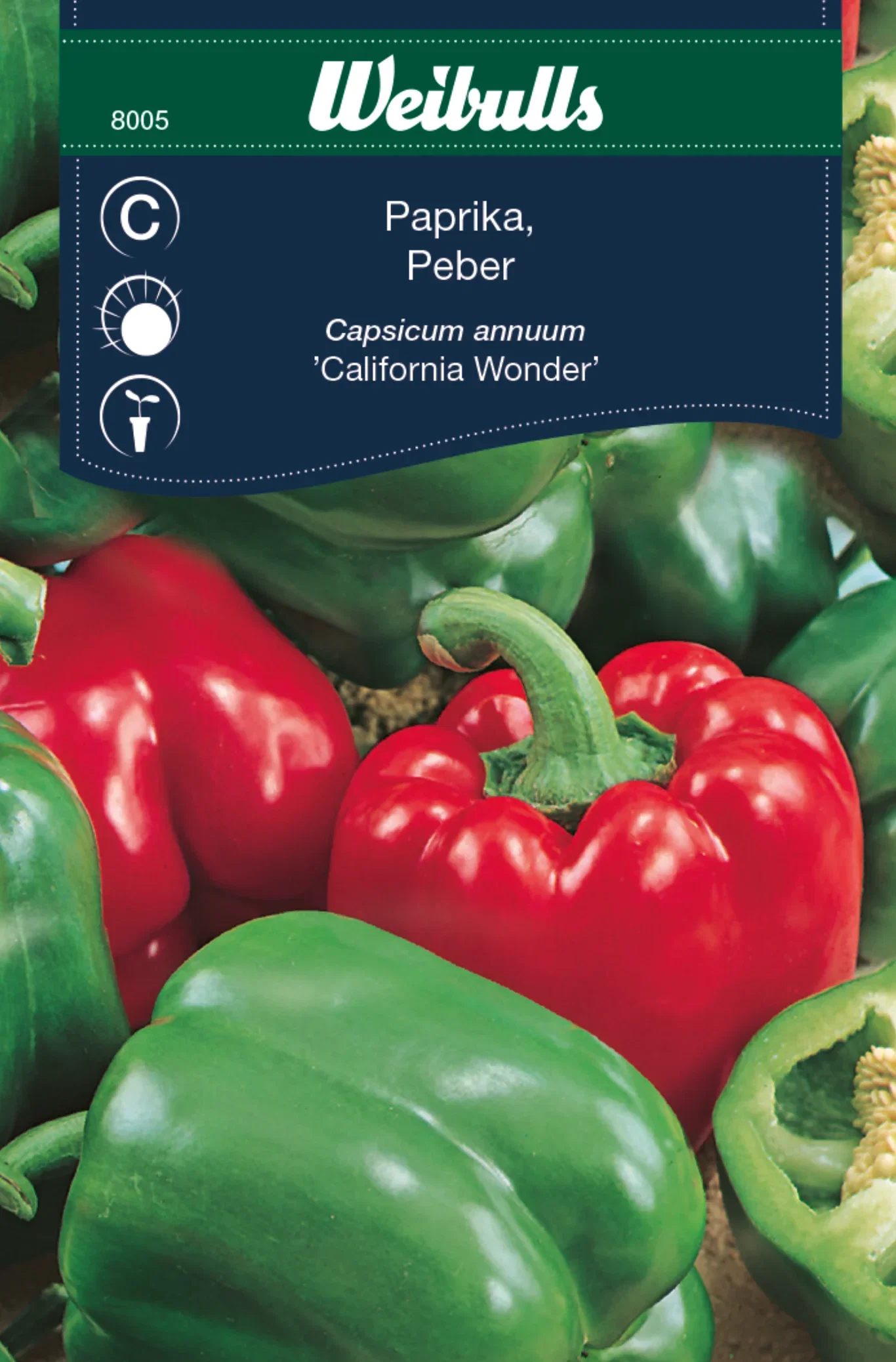 Paprika 'California Wonder'