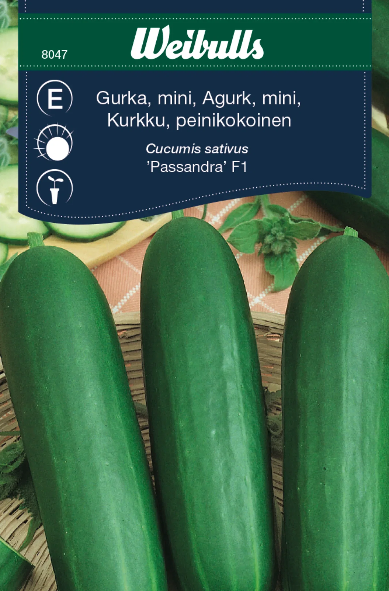 Gurka 'Passandra' F1