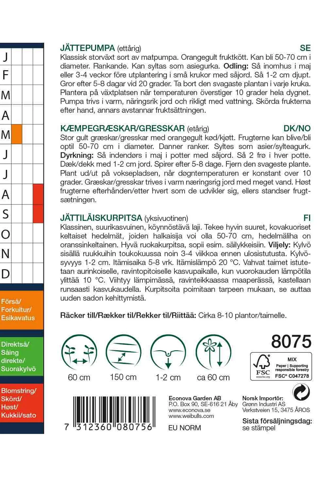 Jättepumpa 'Jaune Gros de Paris'