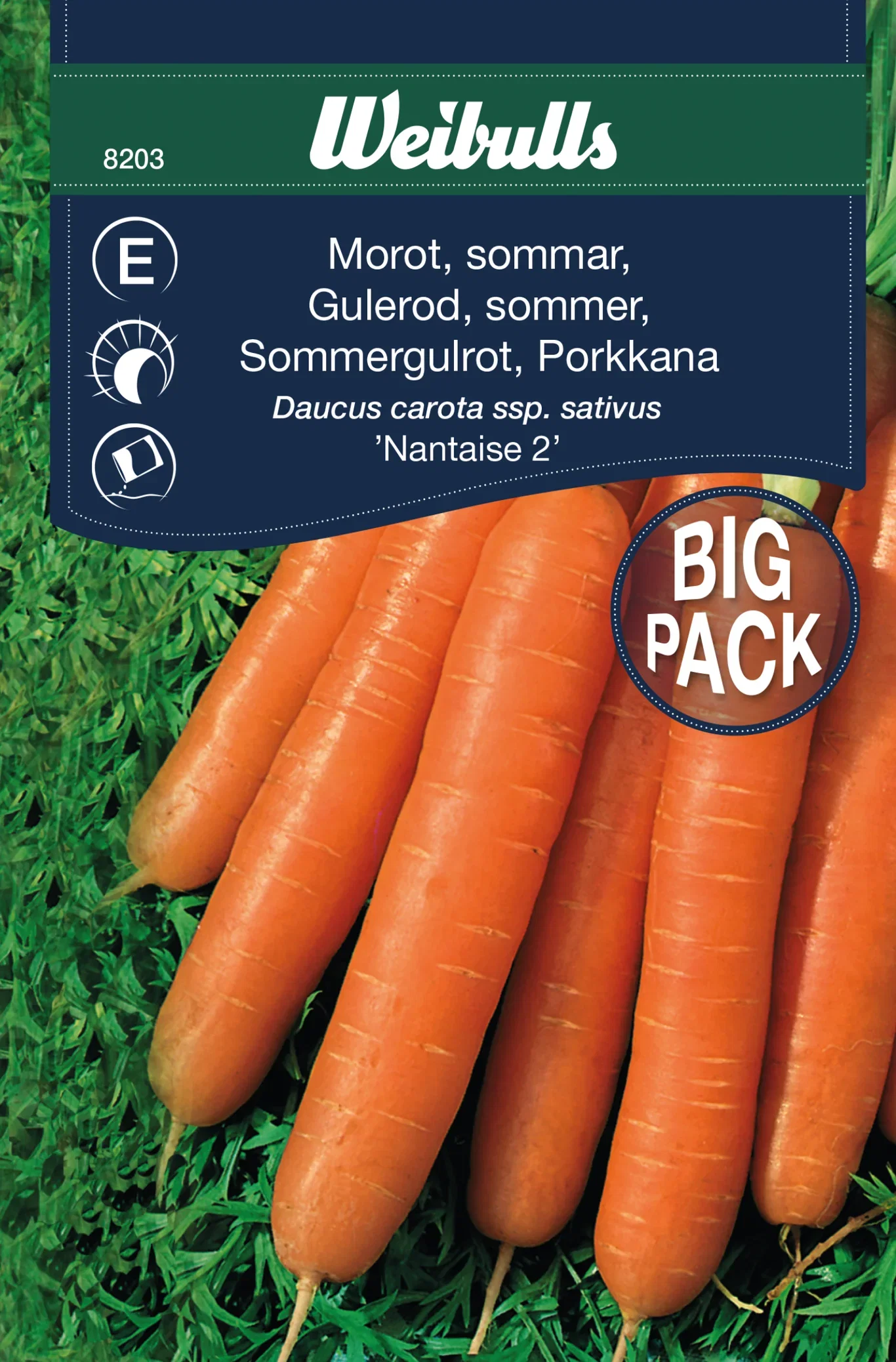 Daucus carota ssp. sativus