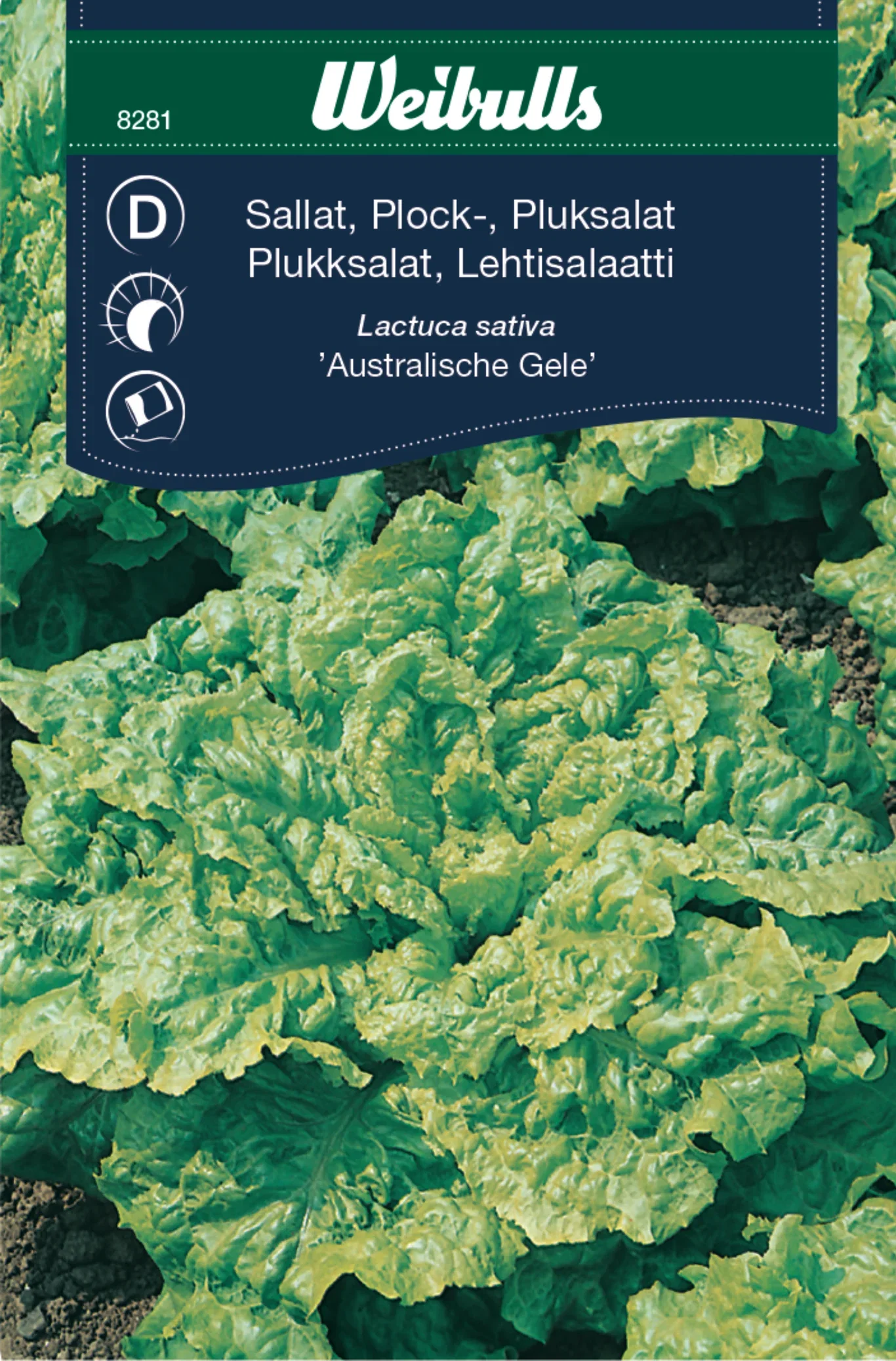 Plocksallat 'Australische Gele'