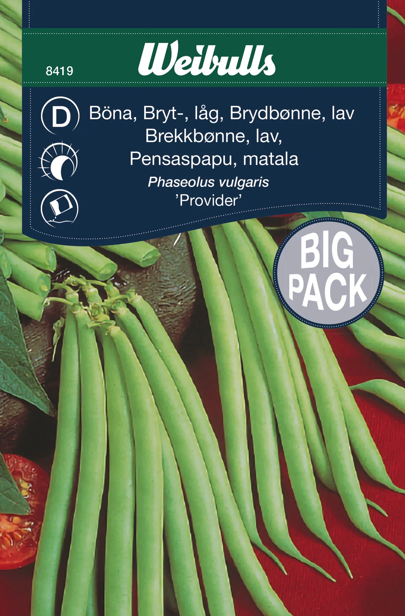 Phaseolus vulgaris