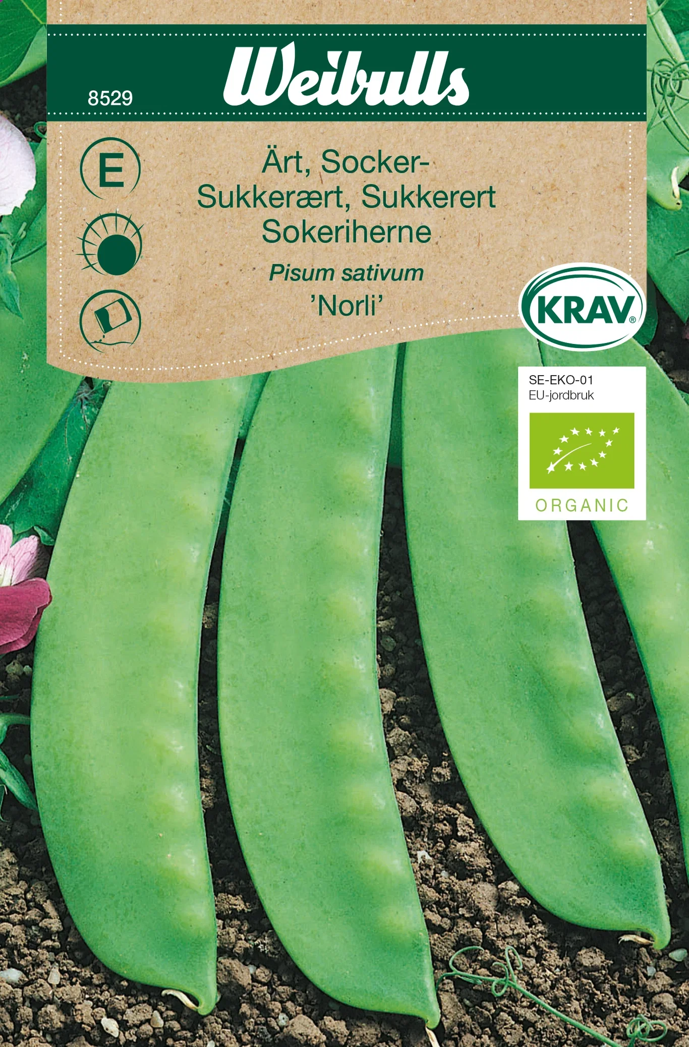 Sockerärt 'Norli' KRAV