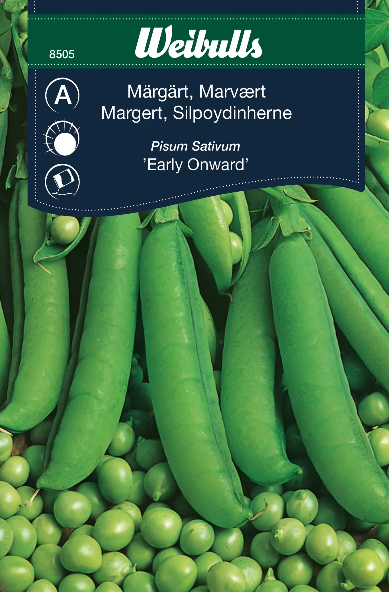 Märgärt 'Early Onward'