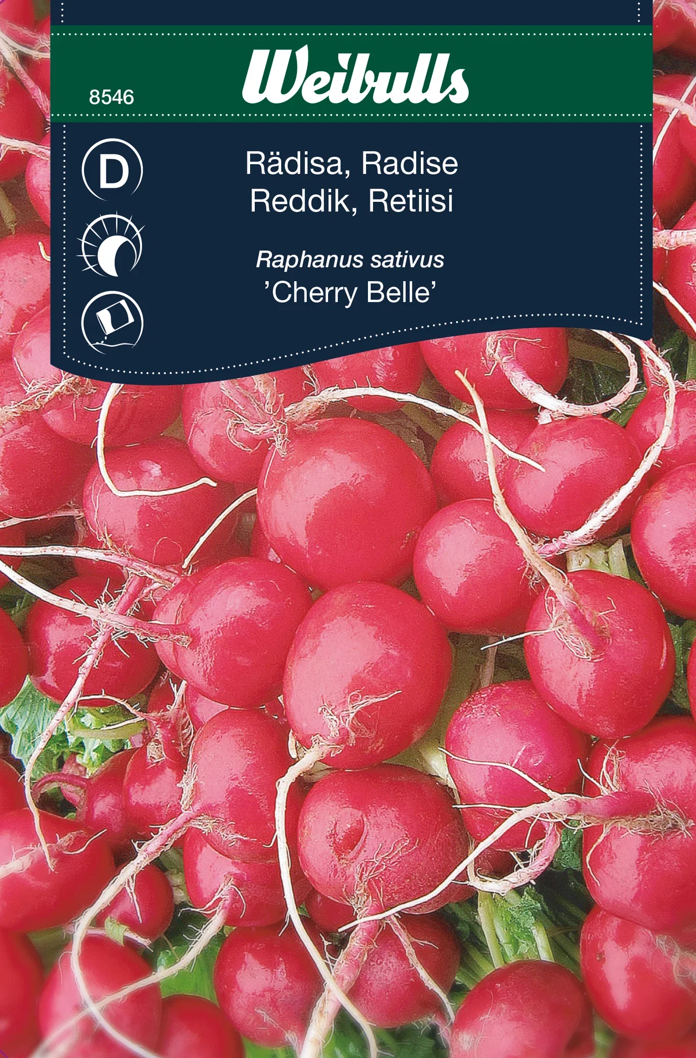 Rädisa Cherry Belle
