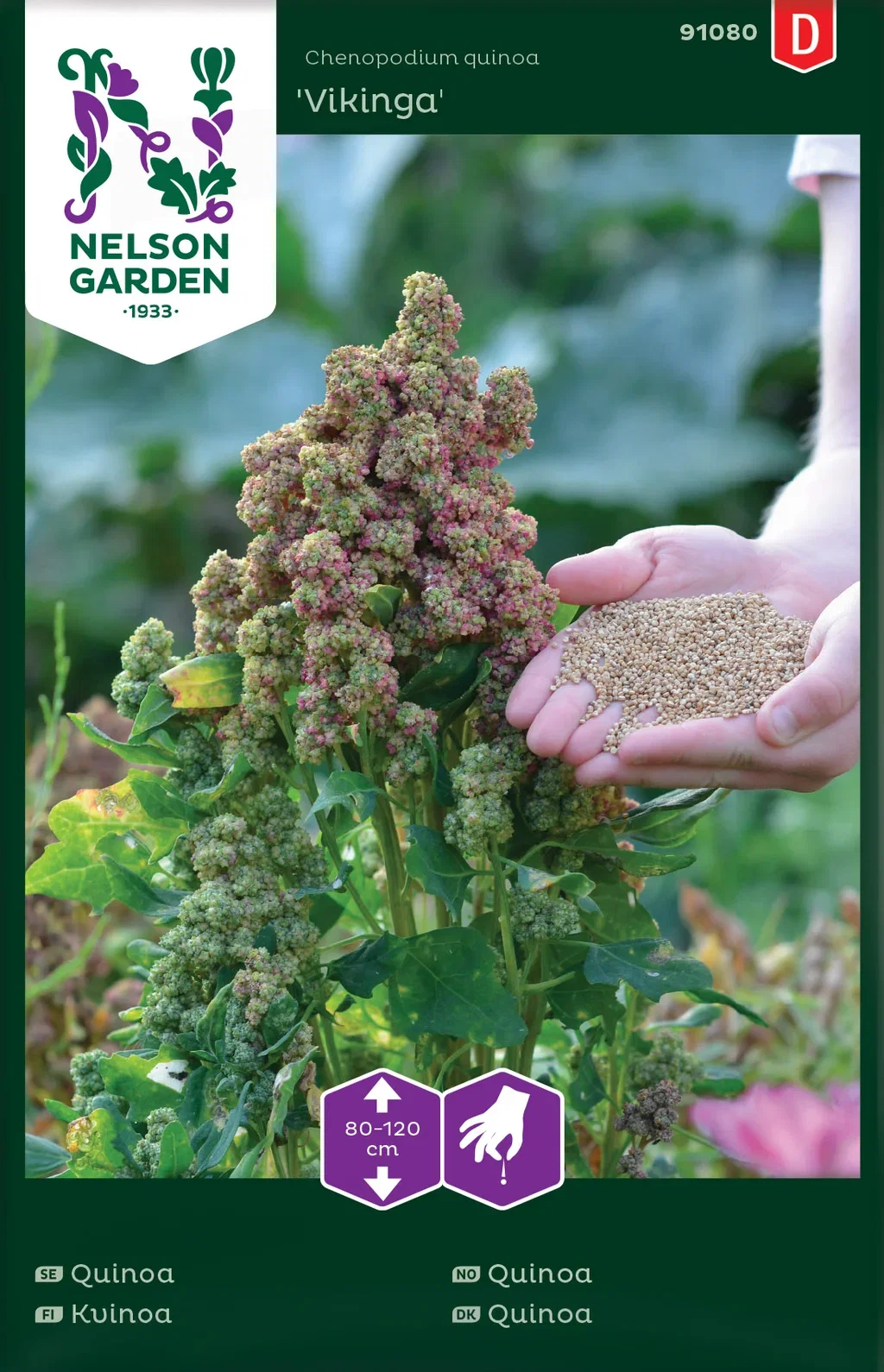 Vikingaquinoa