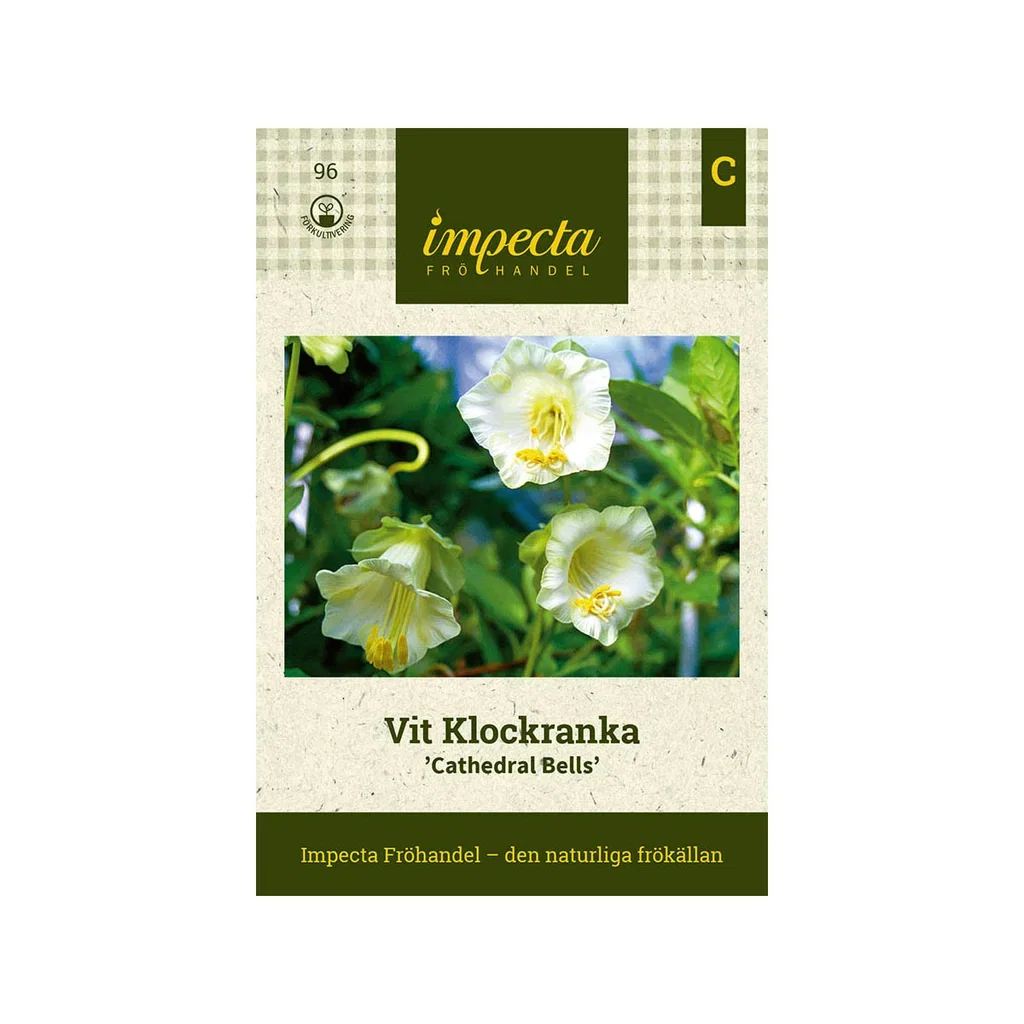Vit Klockranka 'Cathedral Bells'