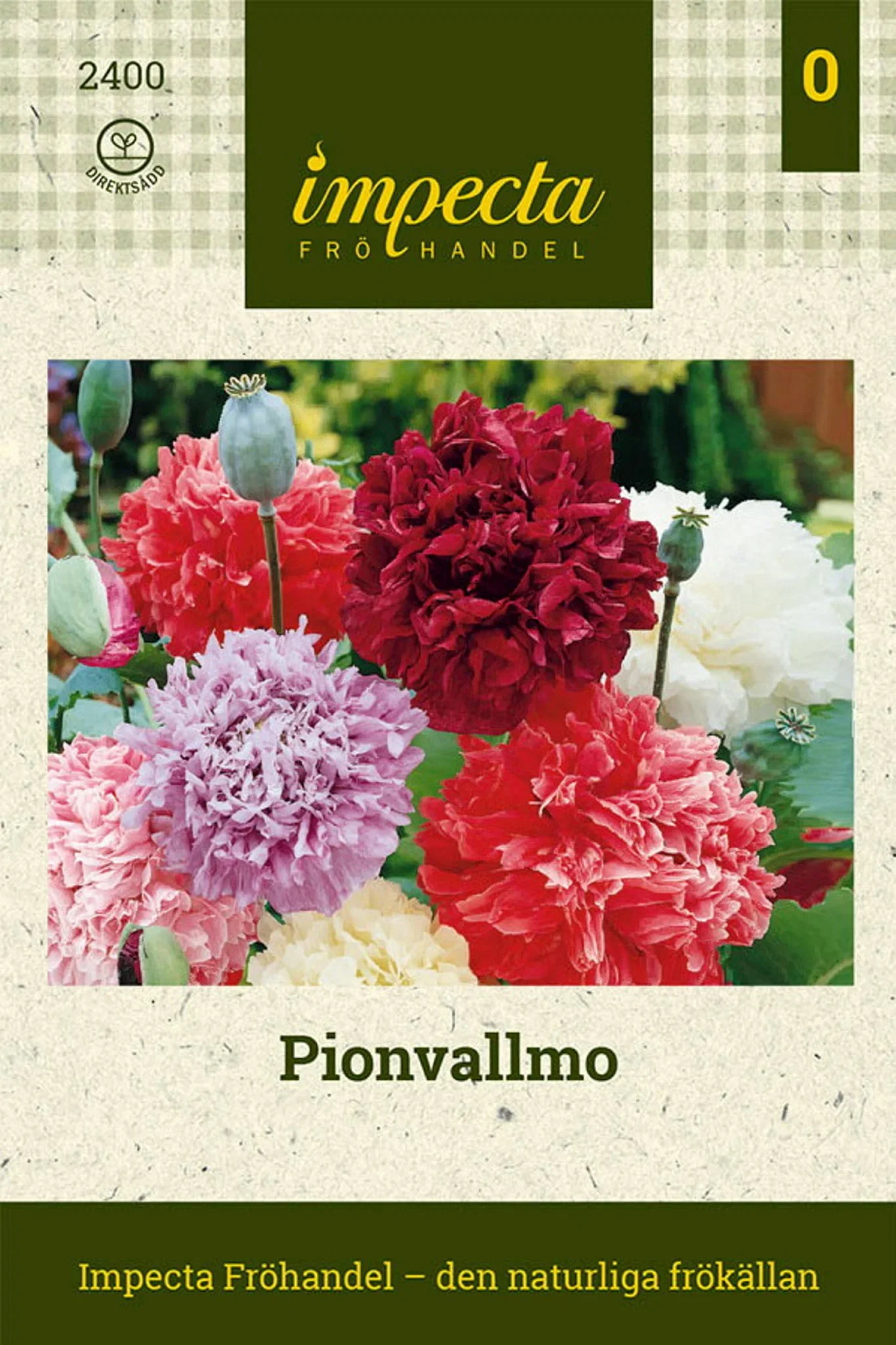 Papaver somniferum (Paeoniflorum-gr.)