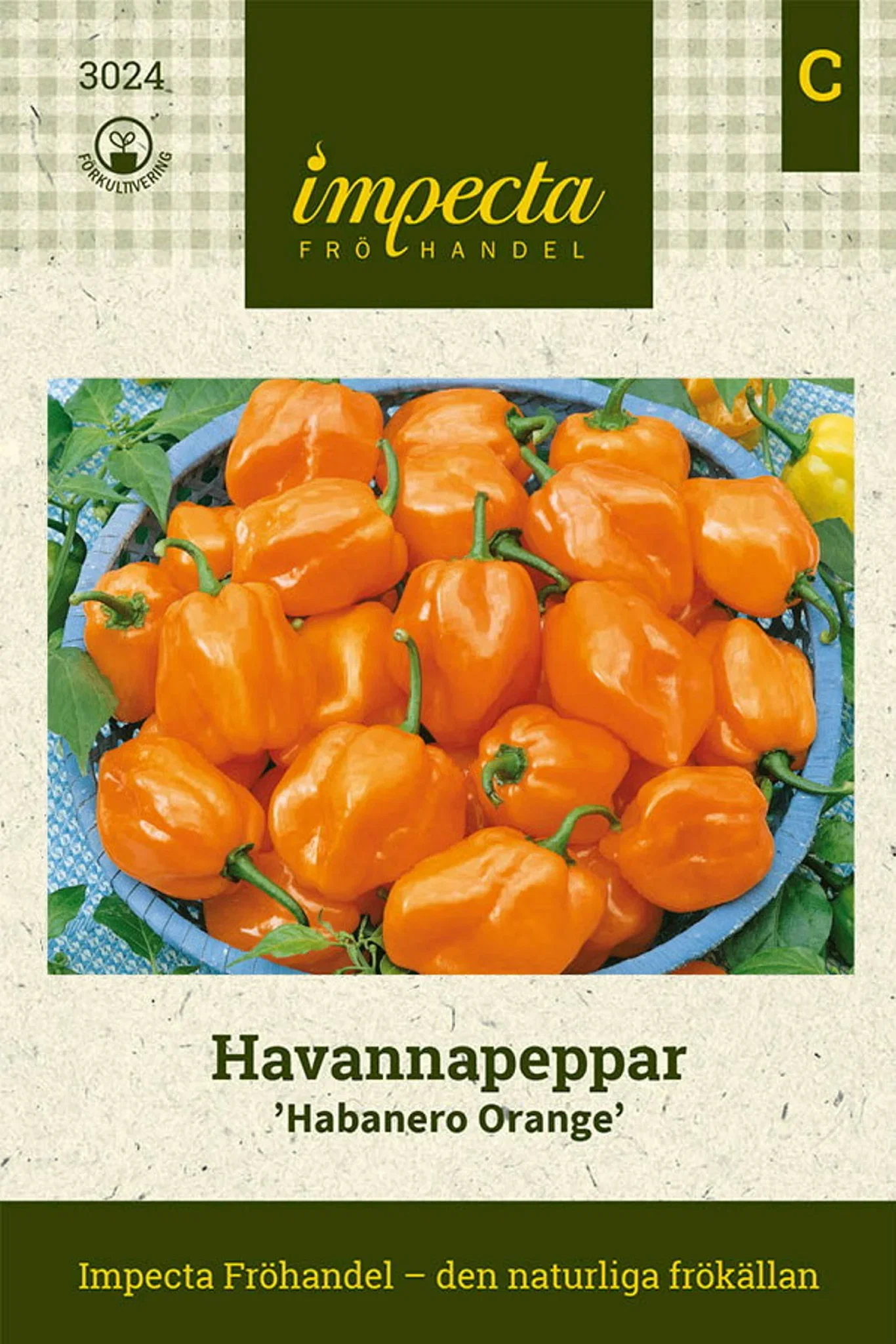 Havannapeppar 'Habanero Orange'
