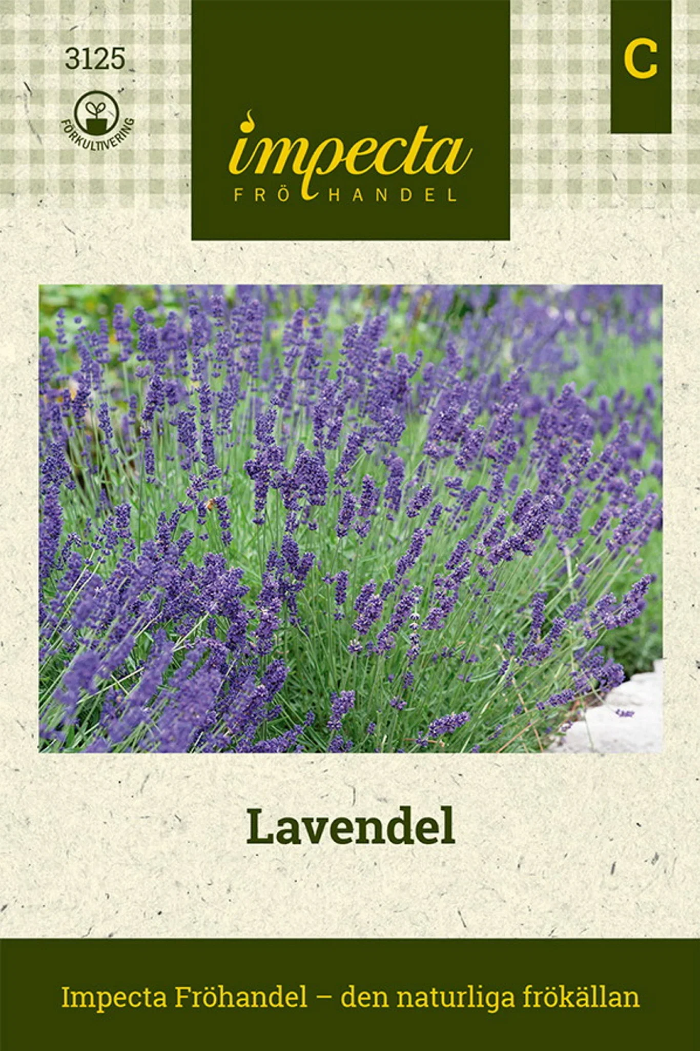 Lavandula angustifolia